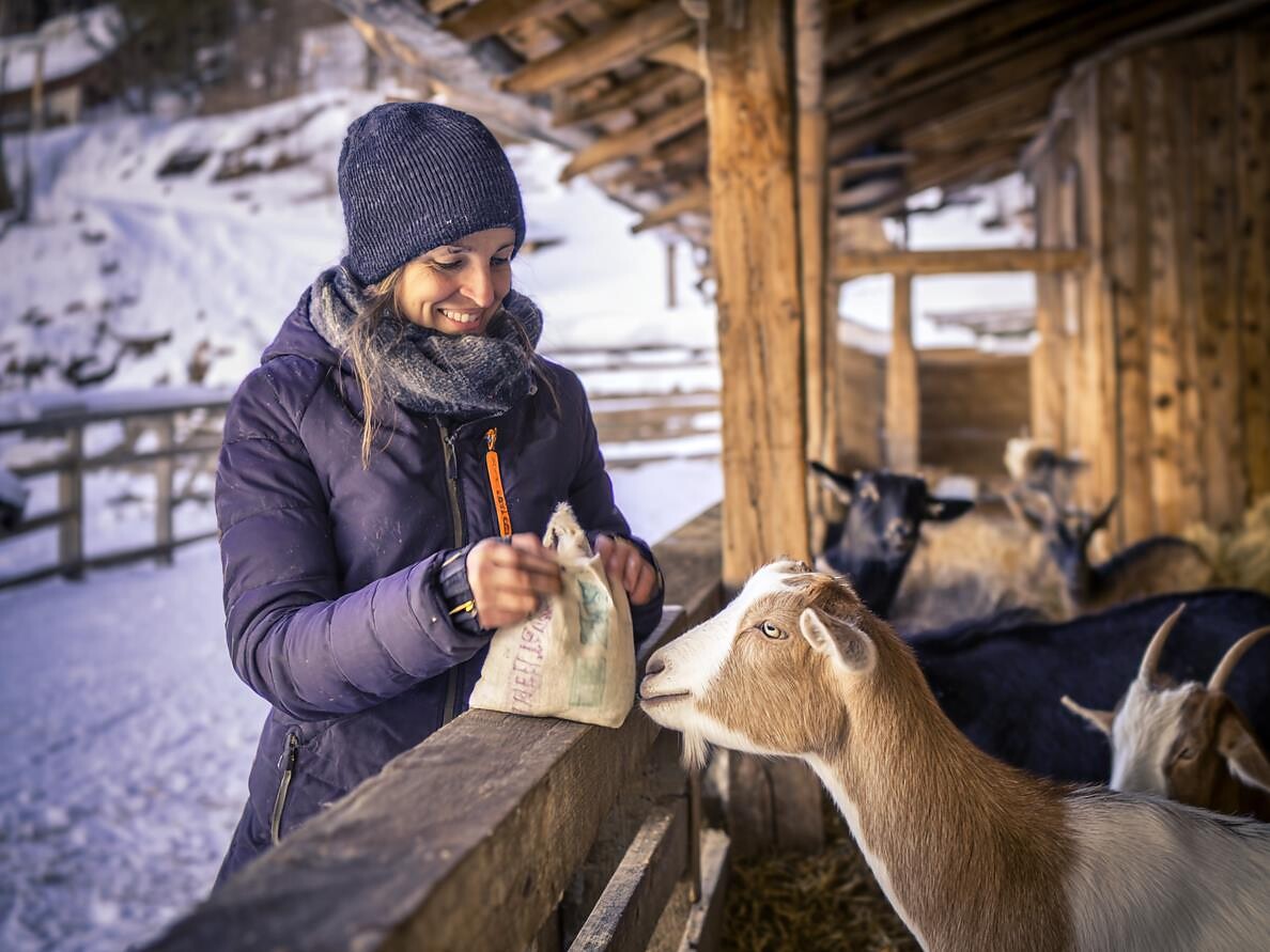 Tiere, Stall & Warme Herzen - Vinschgau - #1 - suedtirol.info