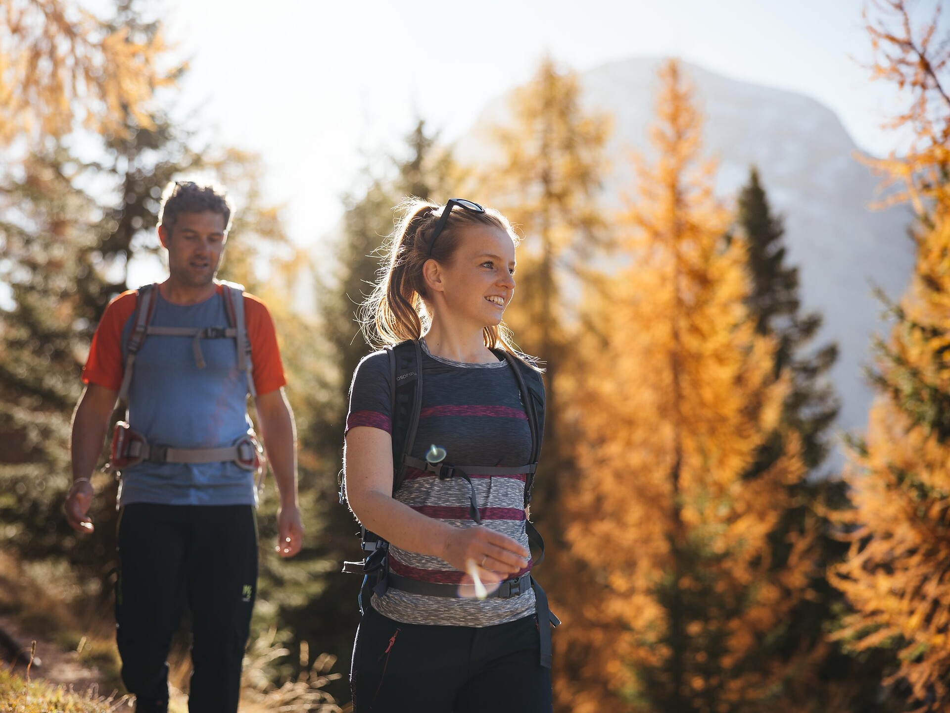Tru di Lersc – A journey of discovery in the forest - Dolomites Region Alta Badia - #2 - suedtirol.info
