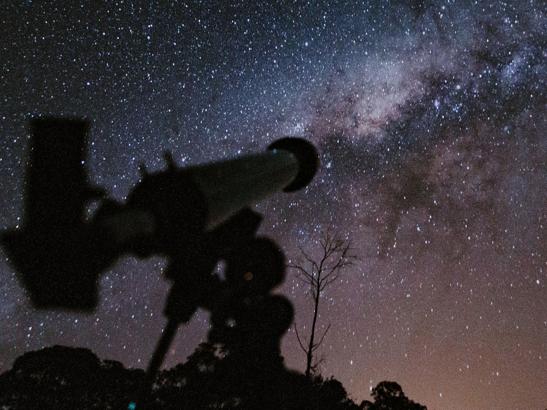 Under the stars: Andrian Summer Nights 2026 - Alto Adige Wine Road - #1 - suedtirol.info