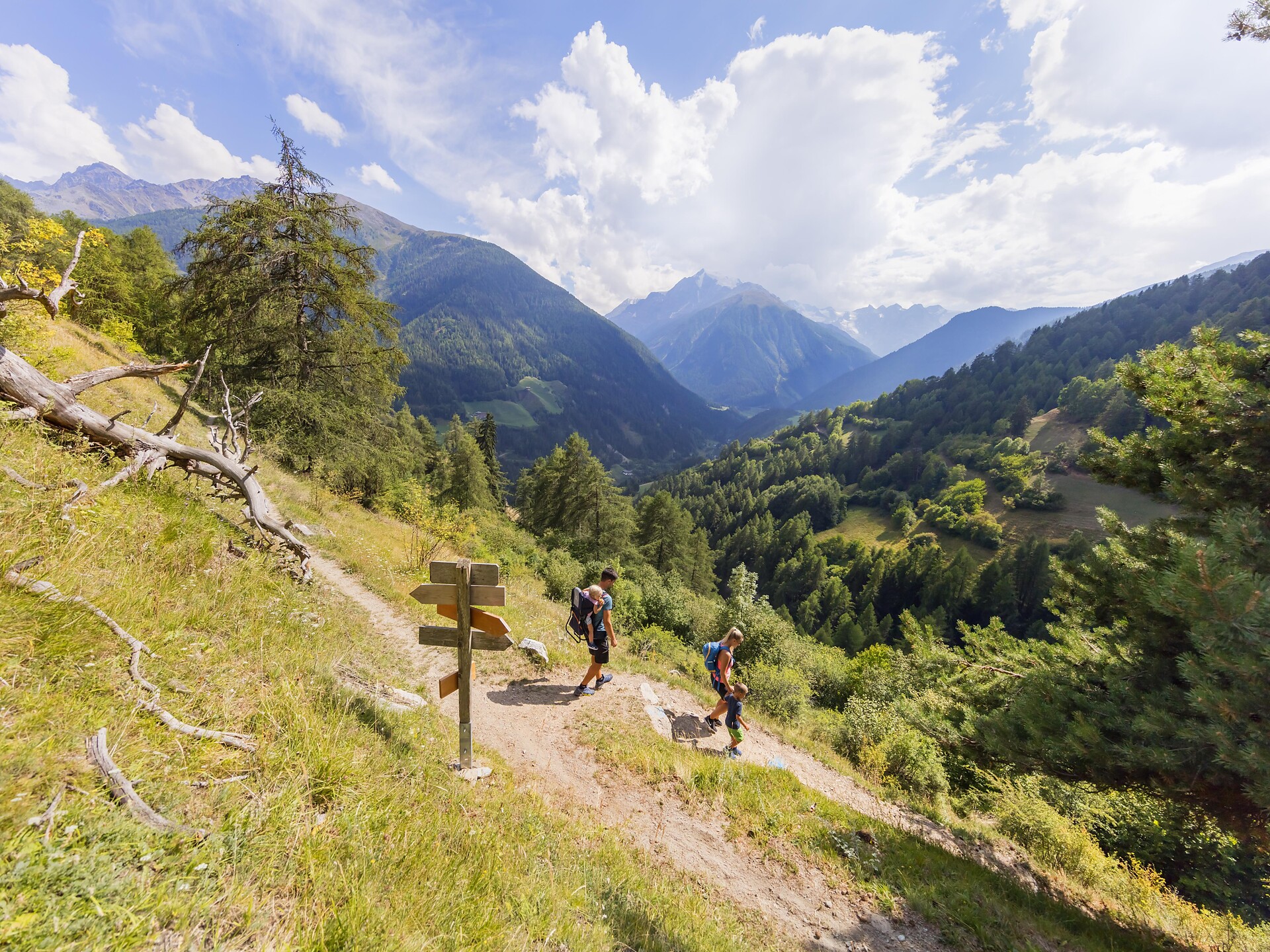 In cammino nel Parco Nazionale dello Stelvio – al ritmo delle stagioni - Val Venosta - #2 - suedtirol.info