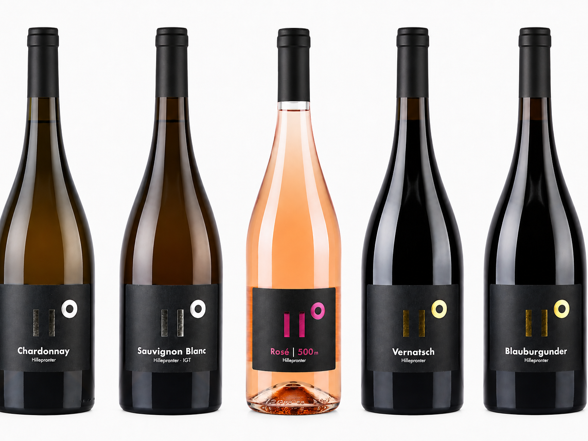 UNSERE WELT DES WEINES-Weinkellerführung und Verkostung im Weingut Hillepranter - Meran und Umgebung - #3 - suedtirol.info