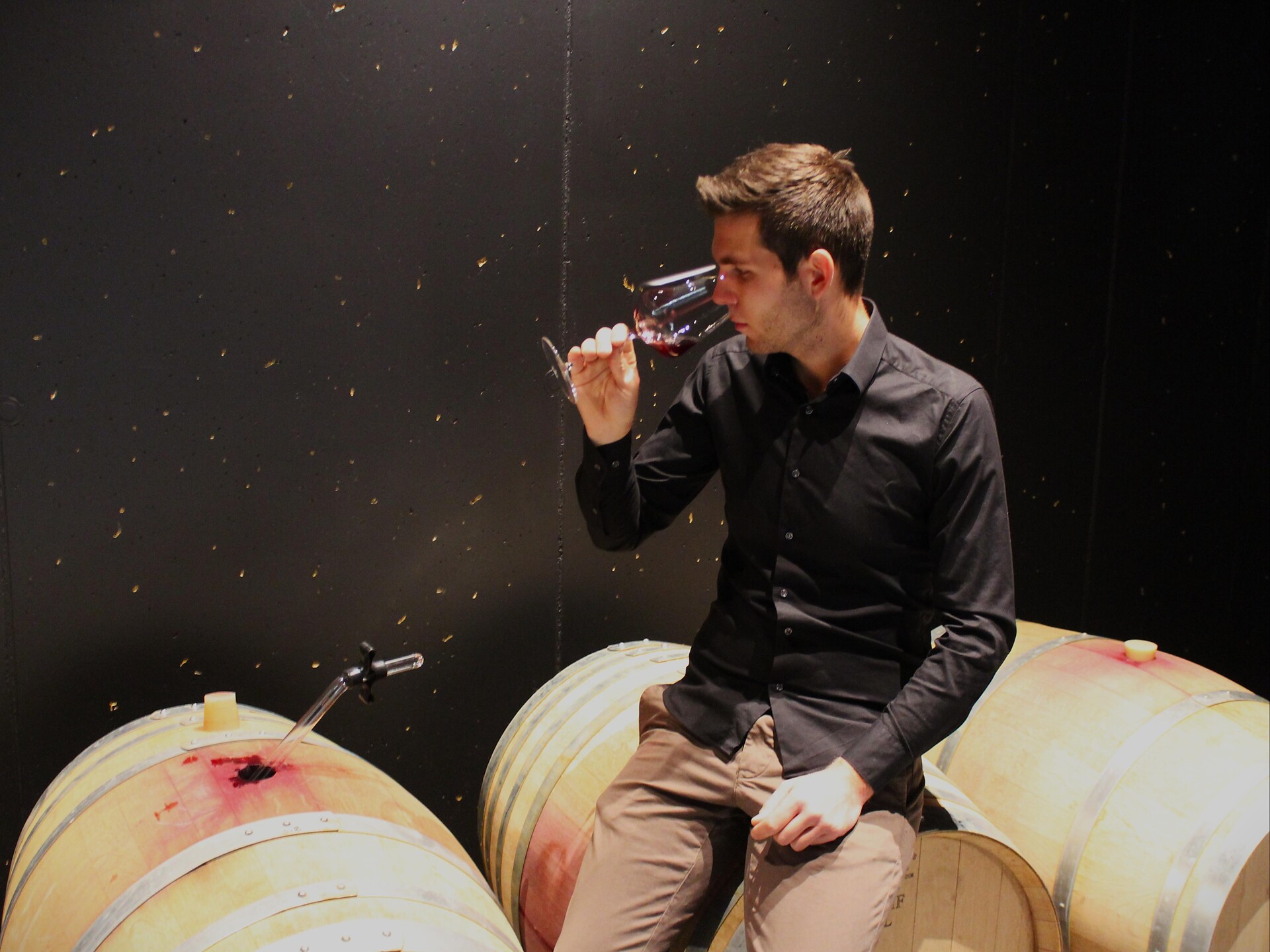 OUR WORLD OF WINE-Wine cellar tour and tasting at the Hillepranter winery Marling/Marlengo 3 suedtirol.info