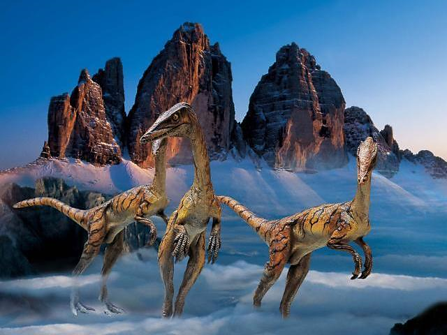 Underground Christmas market - Dolomites Region 3 Zinnen - #2 - suedtirol.info