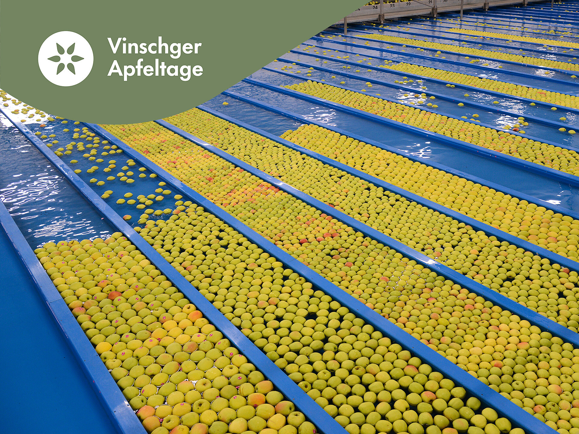 Vinschger Apple Days: Take the train through the apple paradise - Meran/Merano and environs - #2 - suedtirol.info