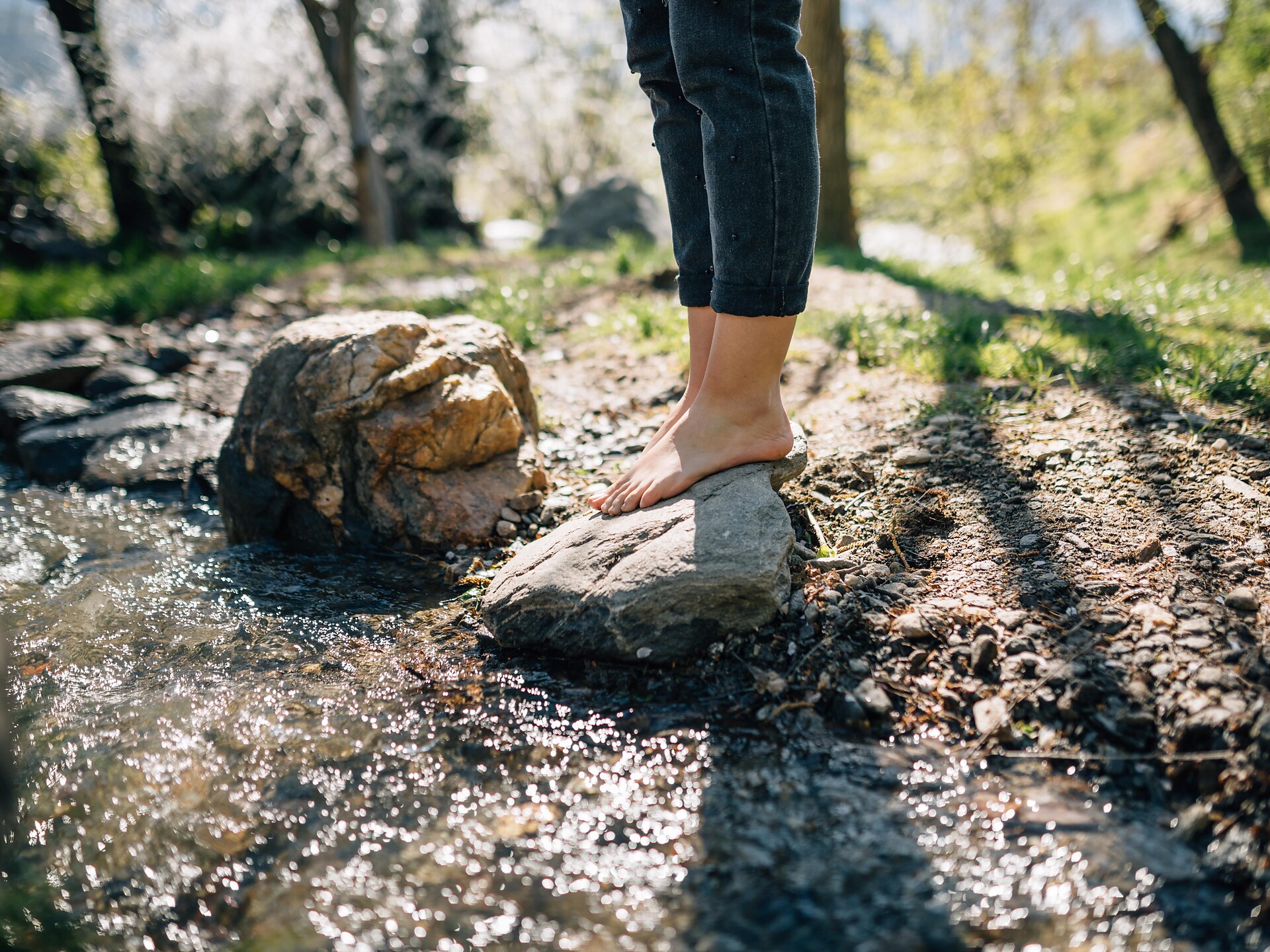 Lagundo Vitale - Merano e dintorni - #2 - suedtirol.info