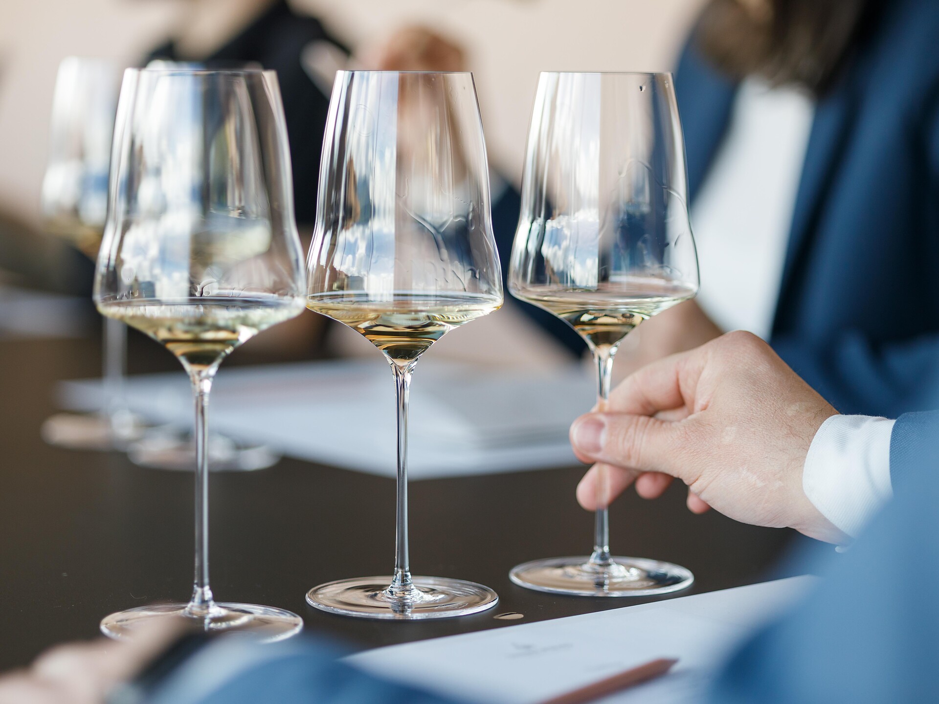 From the grape to the wine - Alto Adige Wine Road - #1 - suedtirol.info