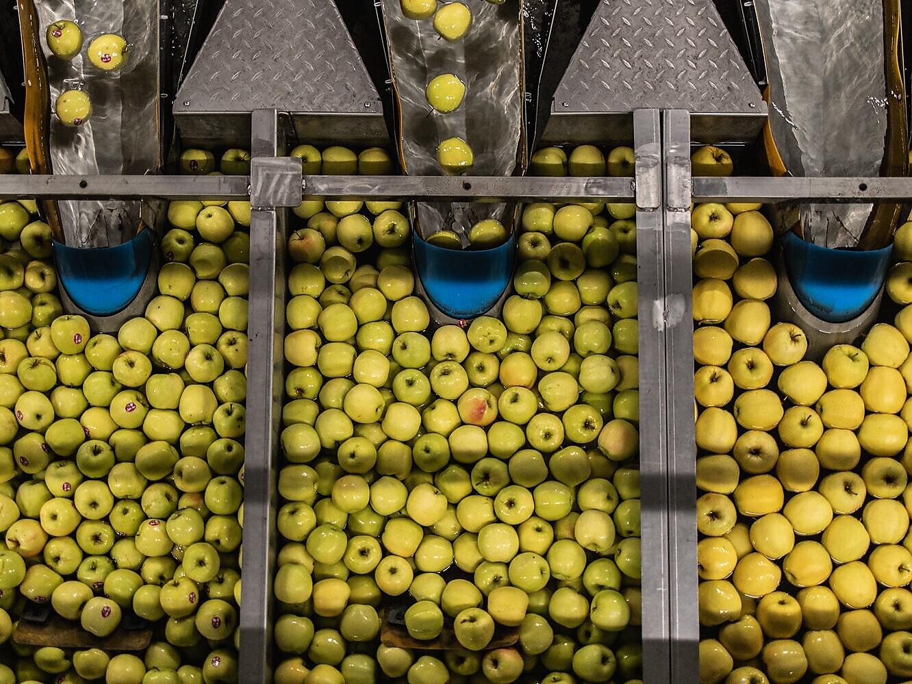 Vinschger Apfeltage: Visita della cooperativa frutticoltori MIVOR - Val Venosta - #2 - suedtirol.info