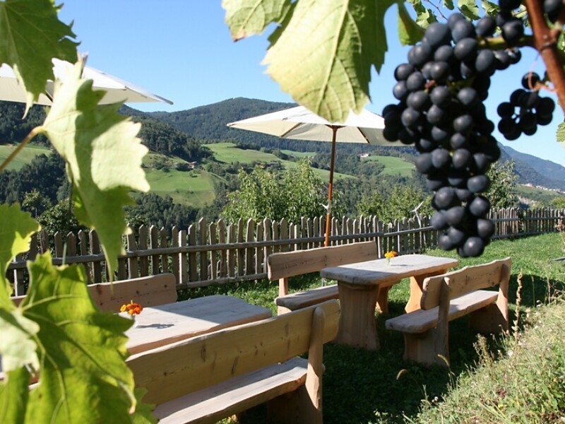 Vignaioli di Fiè - Tradizione ai piedi dello Sciliar Fiè allo Sciliar 1 suedtirol.info
