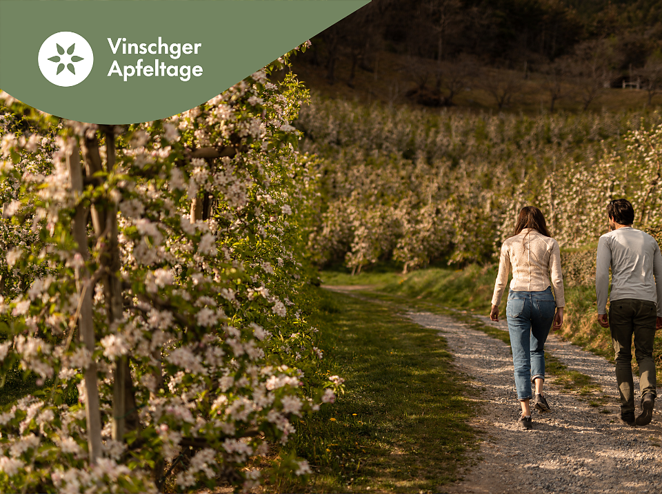 Vinschger Apfeltage: Mit der Bäuerin durch die Obstwiese und Apfelverkostung - Vinschgau - #1 - suedtirol.info