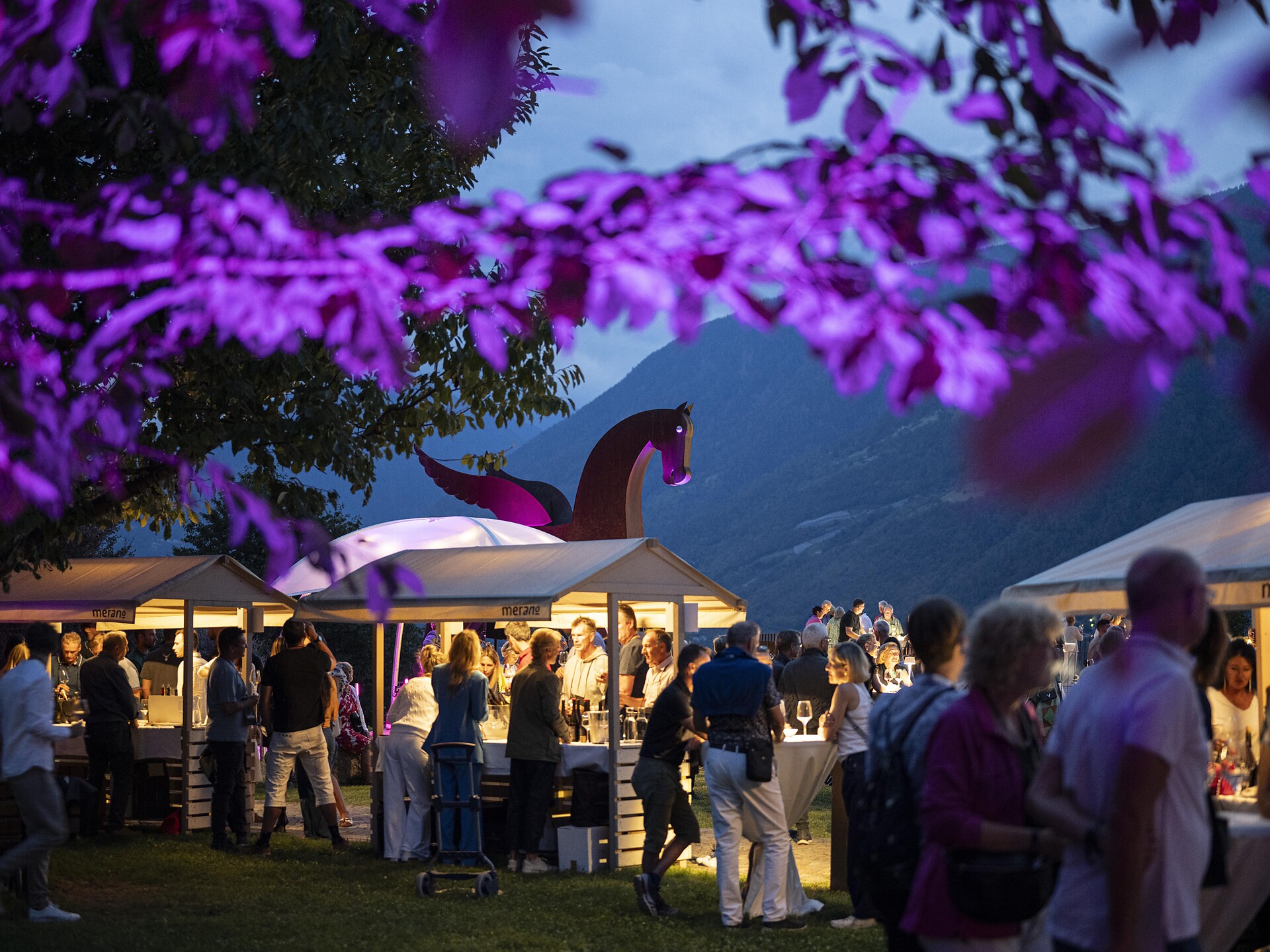 Summer Nights - Meran und Umgebung - #1 - suedtirol.info
