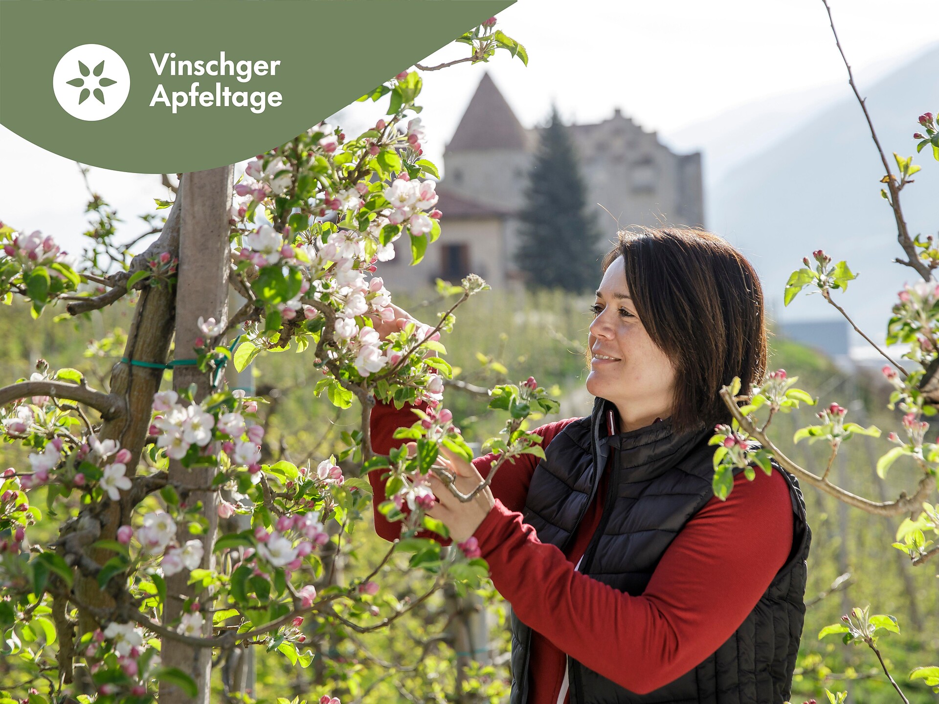 Giornate delle mele: Visita guidata alla Coopertiva frutticola Juval - Val Venosta - #1 - suedtirol.info