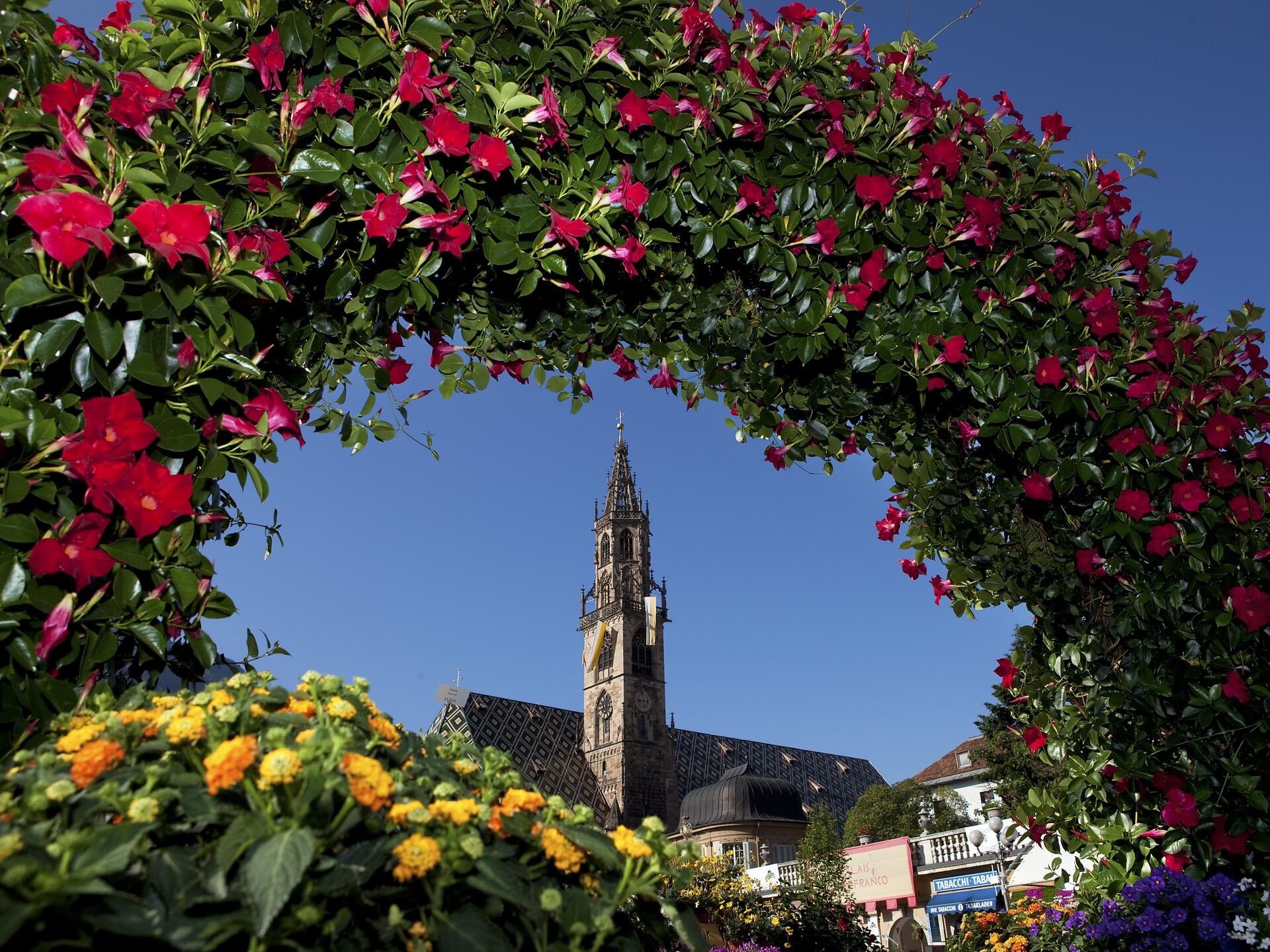 San Valentino in città: amore ad ogni passo - Bolzano e dintorni - #1 - suedtirol.info
