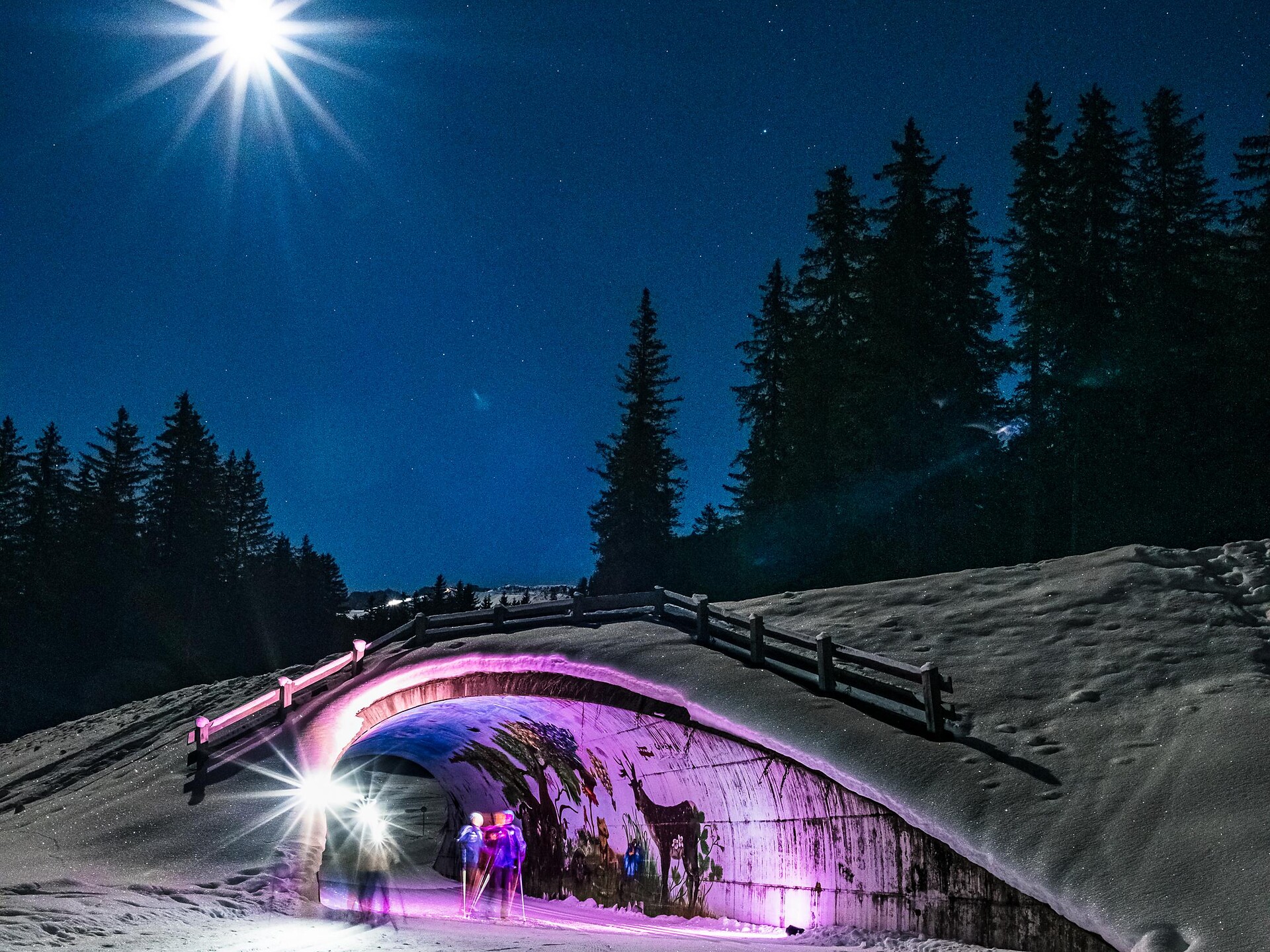 Vollmond-Nachtlanglauf - Dolomitenregion Gröden - #2 - suedtirol.info