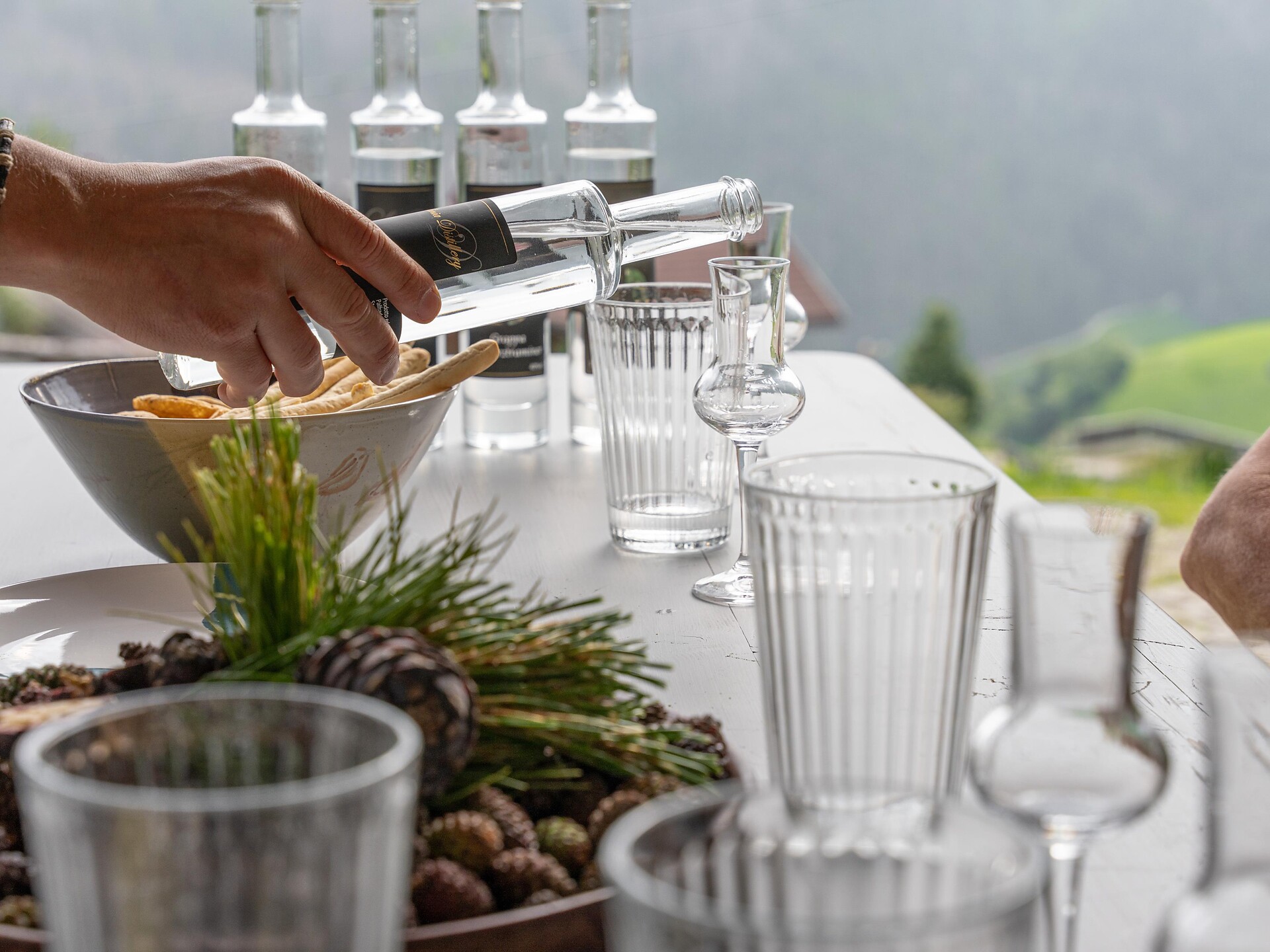 Tasting of grappas and liqueurs - Dolomites Region Kronplatz/Plan de Corones - #1 - suedtirol.info