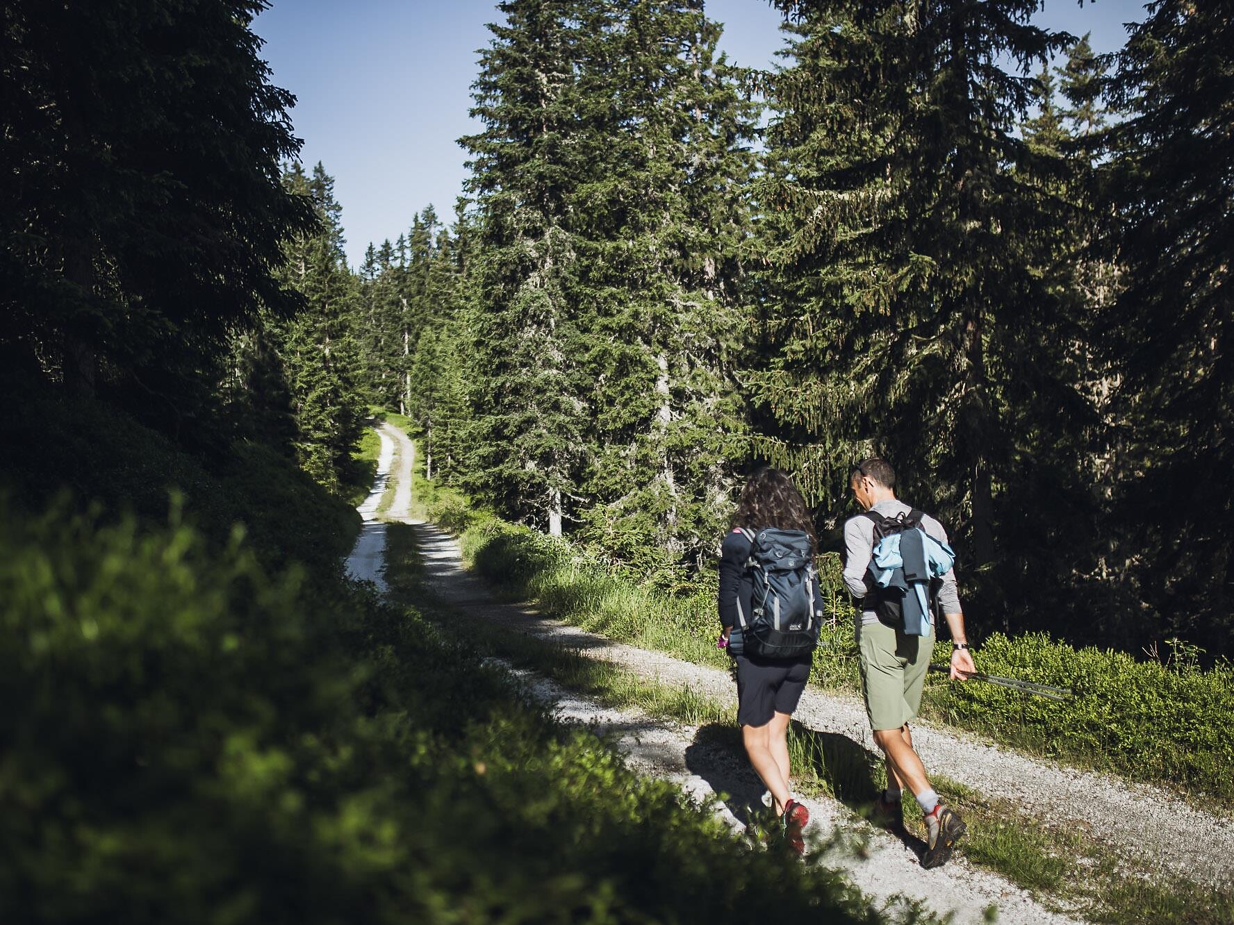 Von der Natur ins Genusshaus - Wander- und Verkostungserlebnis - Sterzing und Umgebung - #3 - suedtirol.info