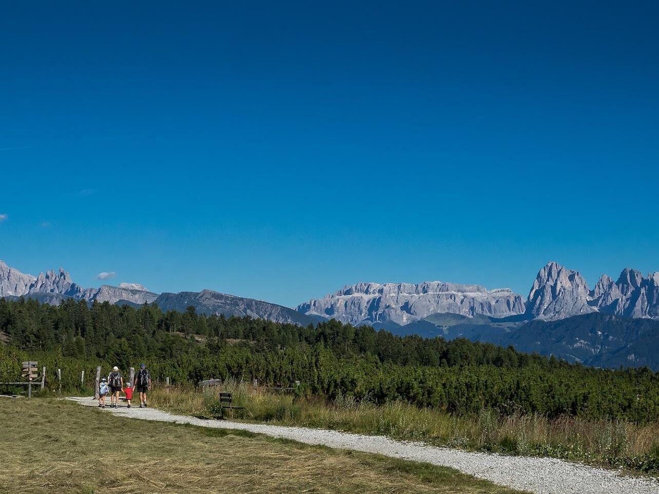 Villanderer Almwanderung mit Besichtigung der Latschenkiefer-Schaubrennerei Villanders 1 suedtirol.info