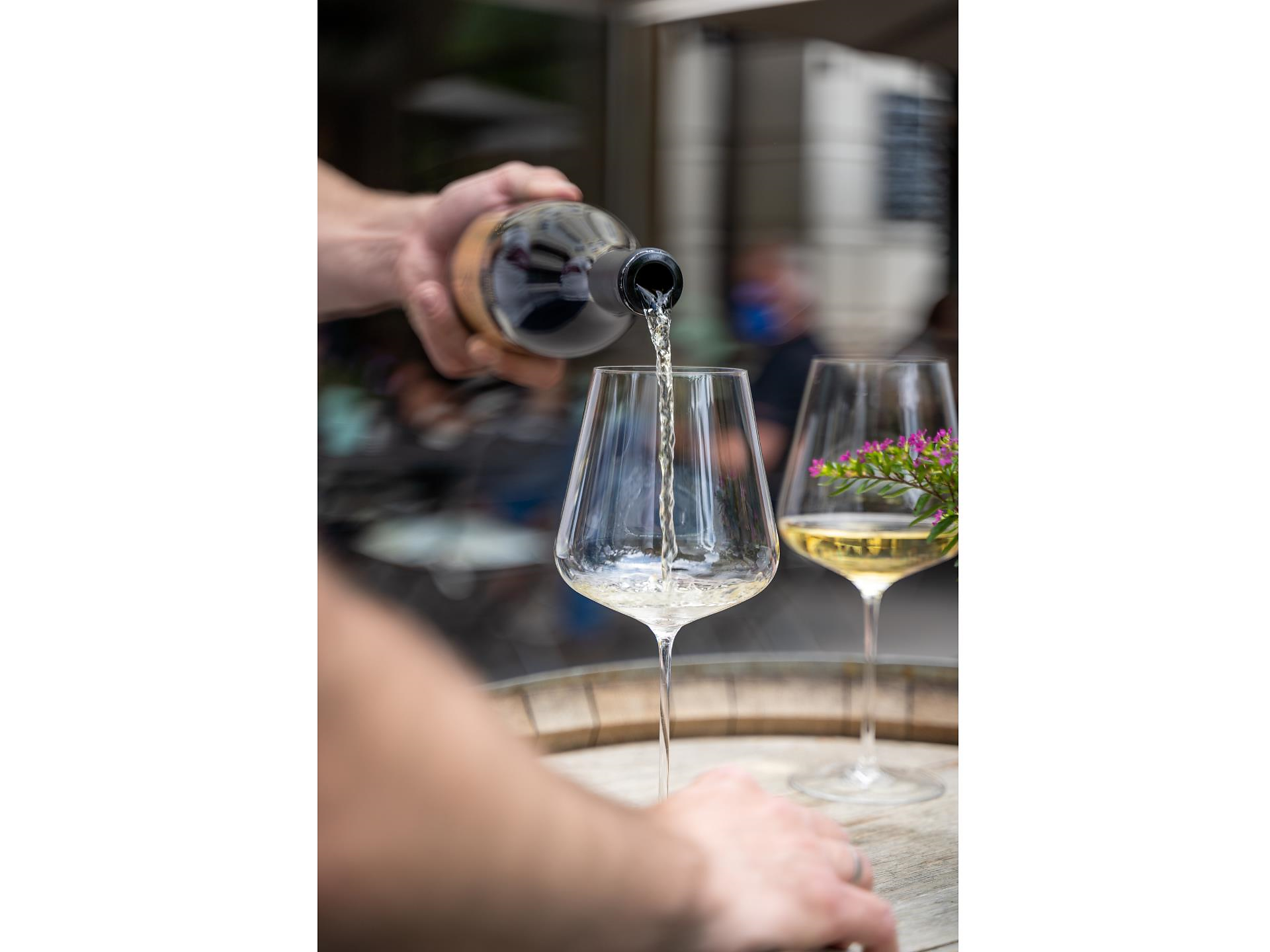 Visita della cantina con degustazioni Merano 1 suedtirol.info