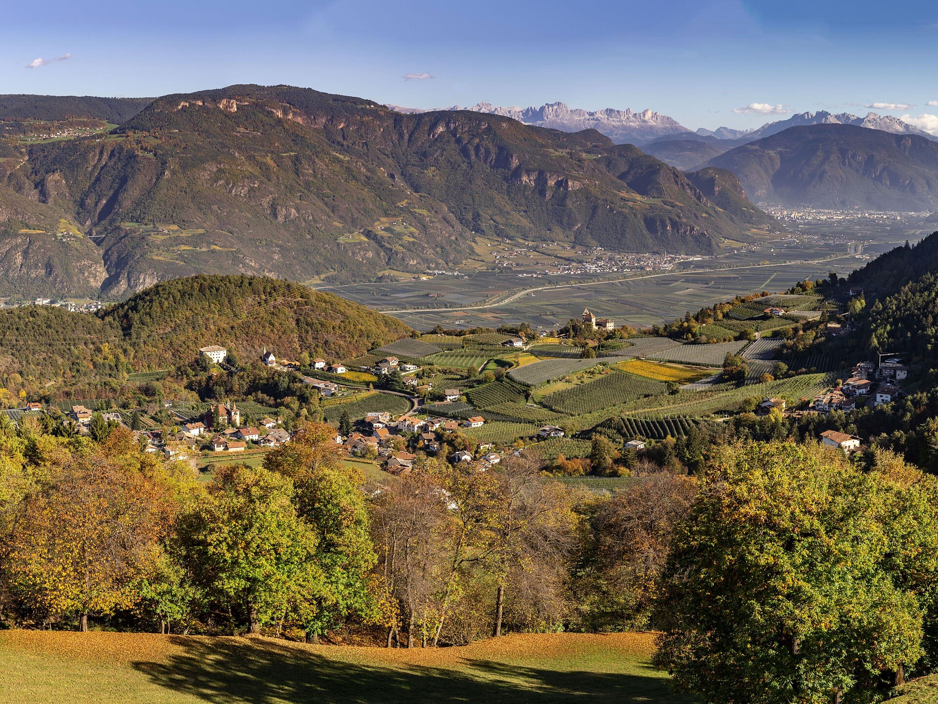 Dalla pergola al piacere della castagna, Prissiano (KESCHTNRIGGL) - Merano e dintorni - #1 - suedtirol.info