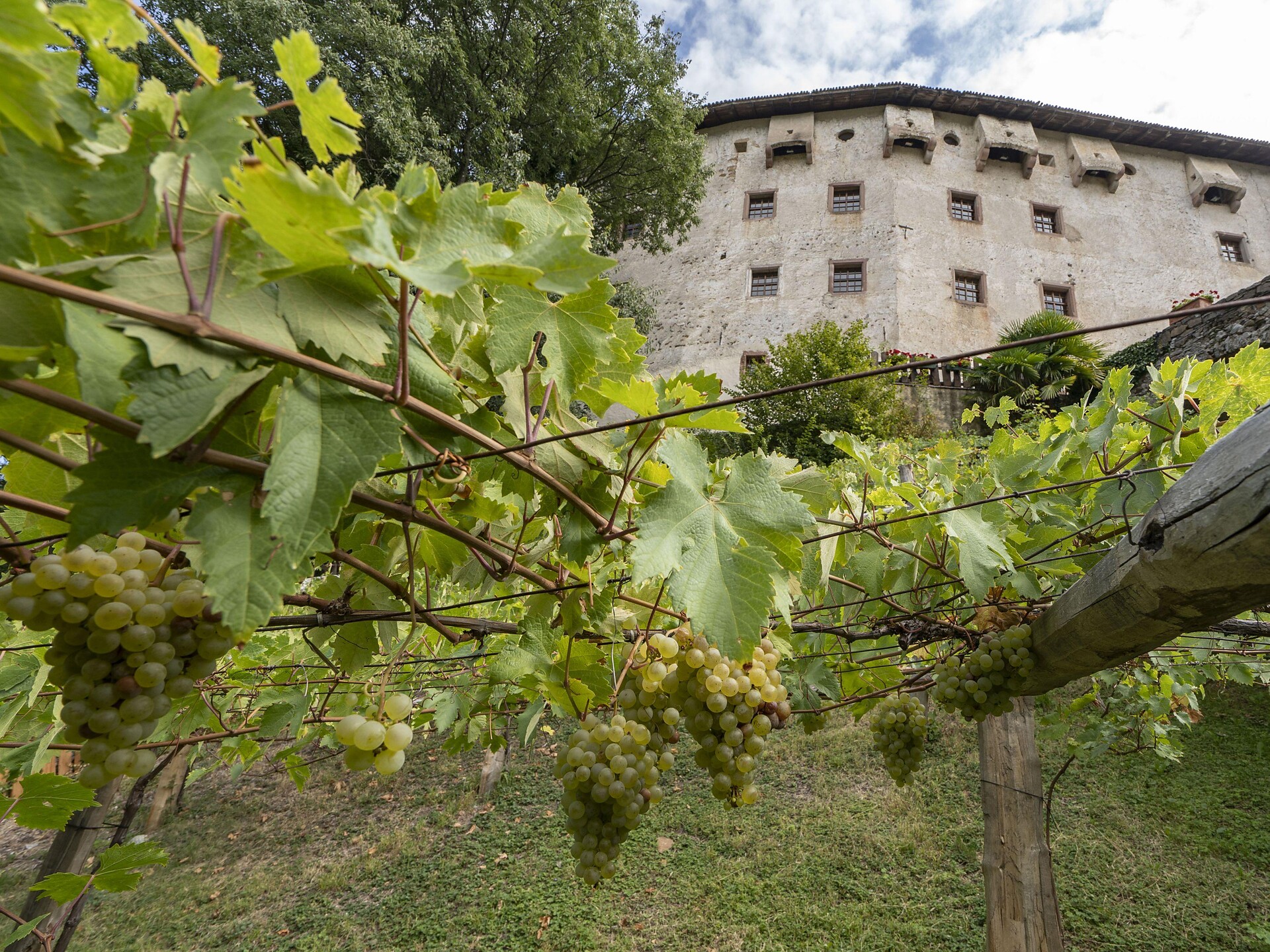 Von der Pergl zum Keschtngenuss, Prissian (KESCHTNRIGGL) - Meran und Umgebung - #1 - suedtirol.info
