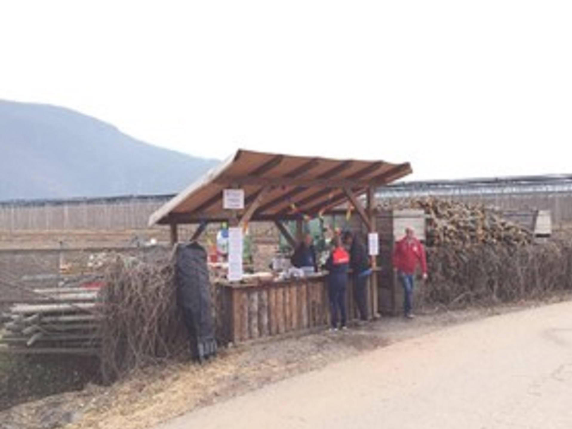 Bancarella con bevande e snack lungo il lago di Caldaro - Strada del Vino - #2 - suedtirol.info