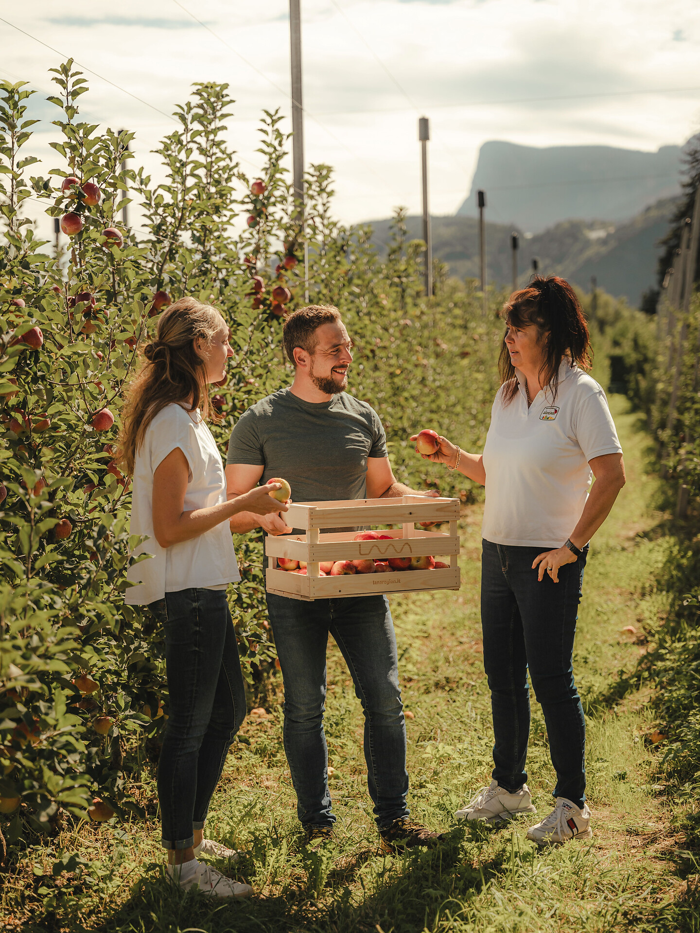 Vom Baum in die Kiste - Meran und Umgebung - #3 - suedtirol.info