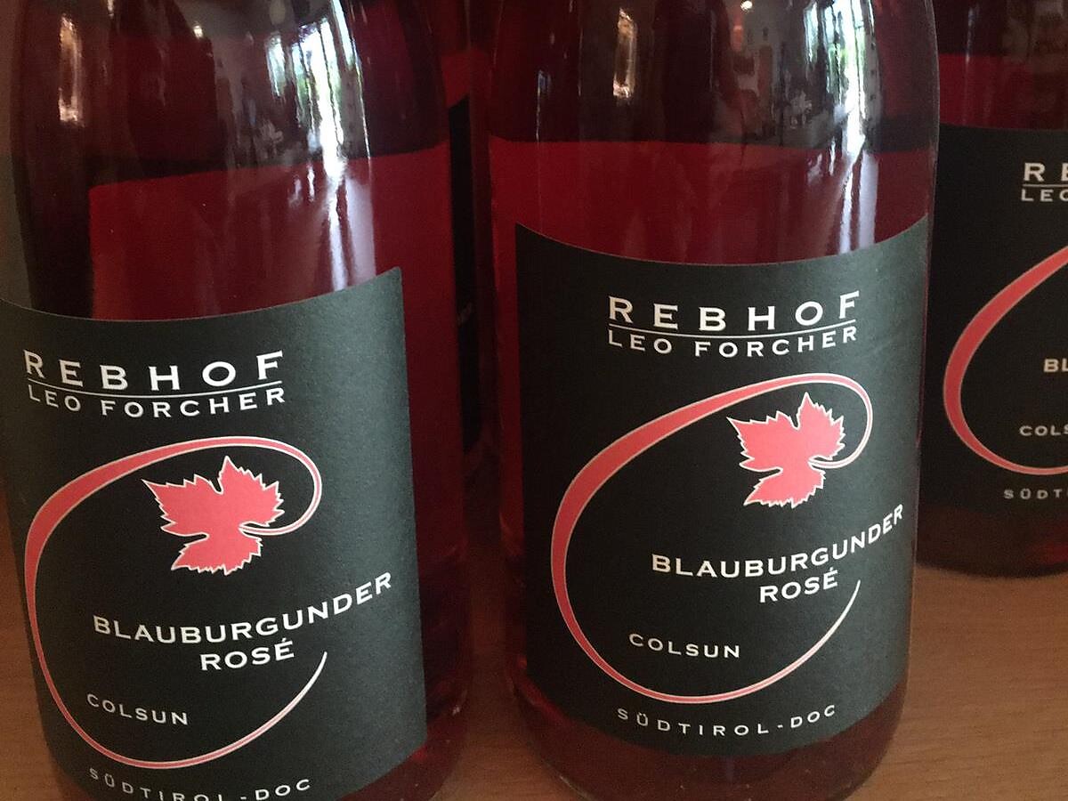 Dalla vigna alla cantina! Escurione e degustazione di vini alla cantina "Rebhof" Castelbello-Ciardes 3 suedtirol.info