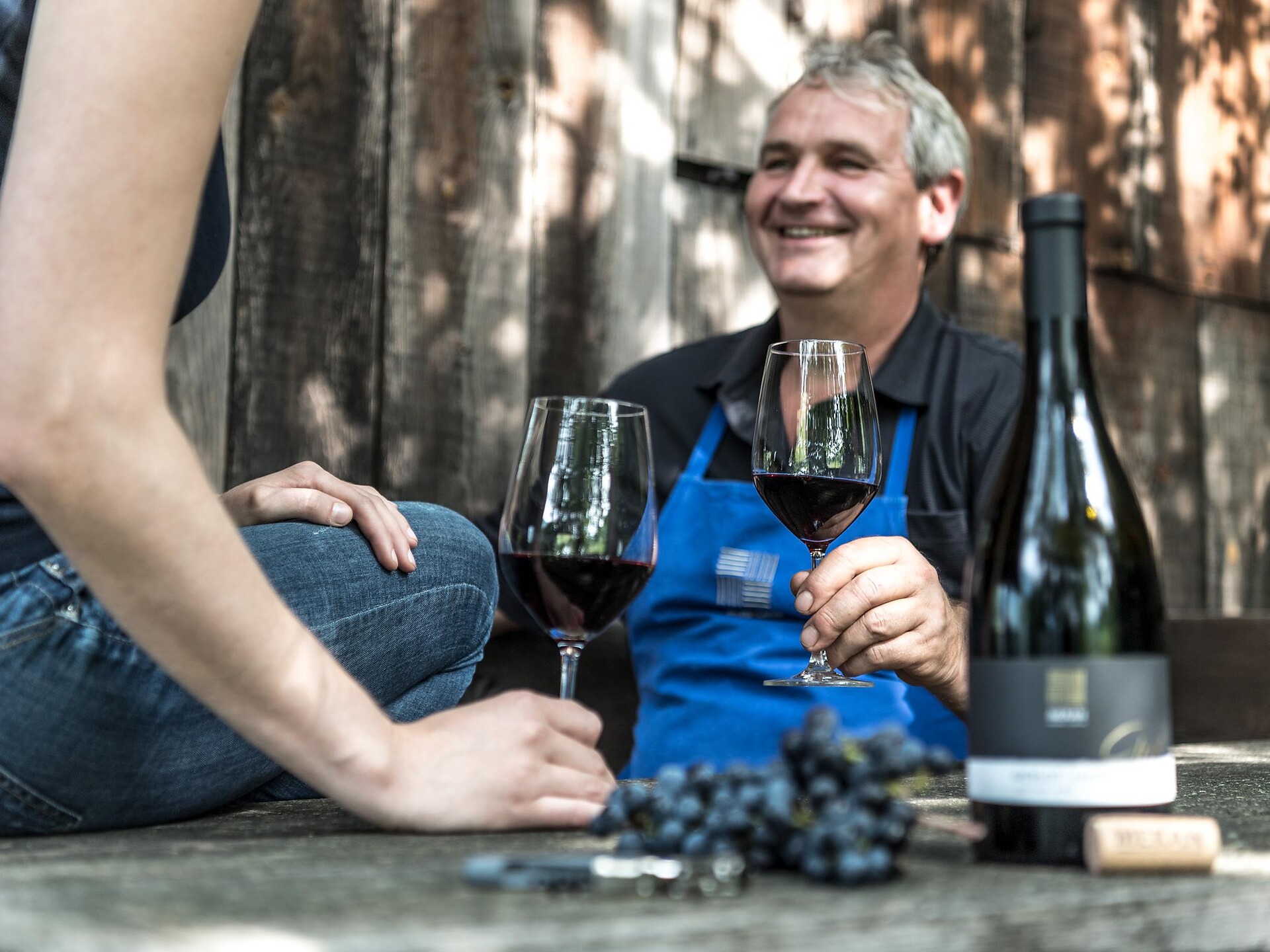 Von der Rebe ins Glas - Weinbergführung mit Verkostung - Meran und Umgebung - #3 - suedtirol.info