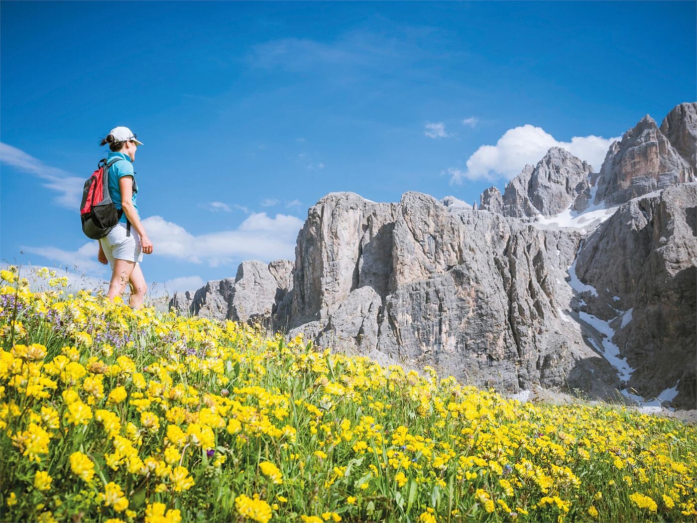Hike at the Foot of the Sassolungo - Dolomites Region Val Gardena - #3 - suedtirol.info