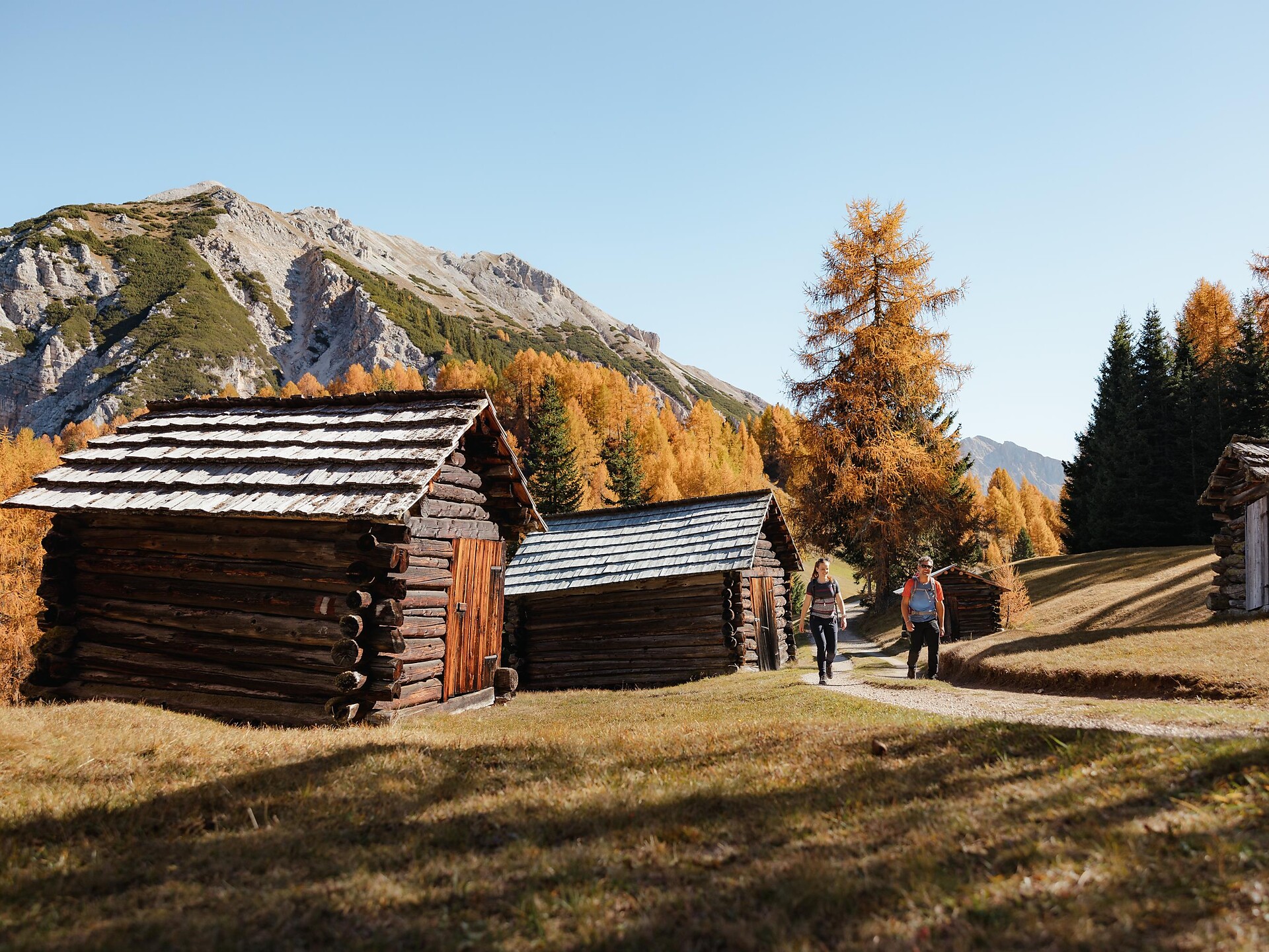 Hike to the Rit meadows, a hidden gem in the Dolomites - Dolomites Region Alta Badia - #3 - suedtirol.info