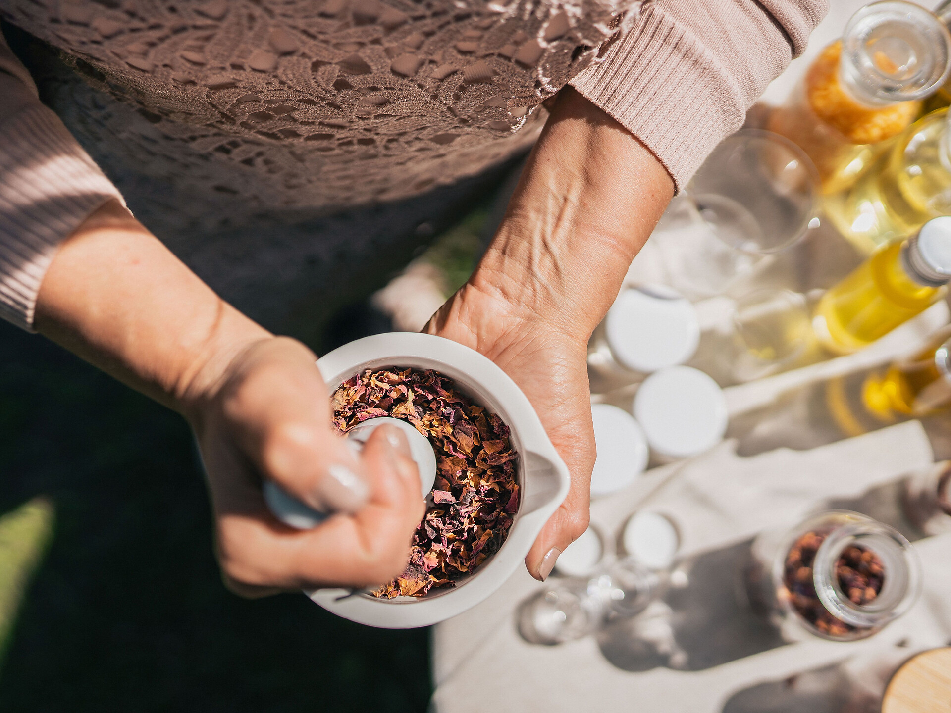 Was wächst denn da? (Wildkräuter, Heilpflanzenwissen & Wohlbefinden) 2026 - Meran und Umgebung - #2 - suedtirol.info