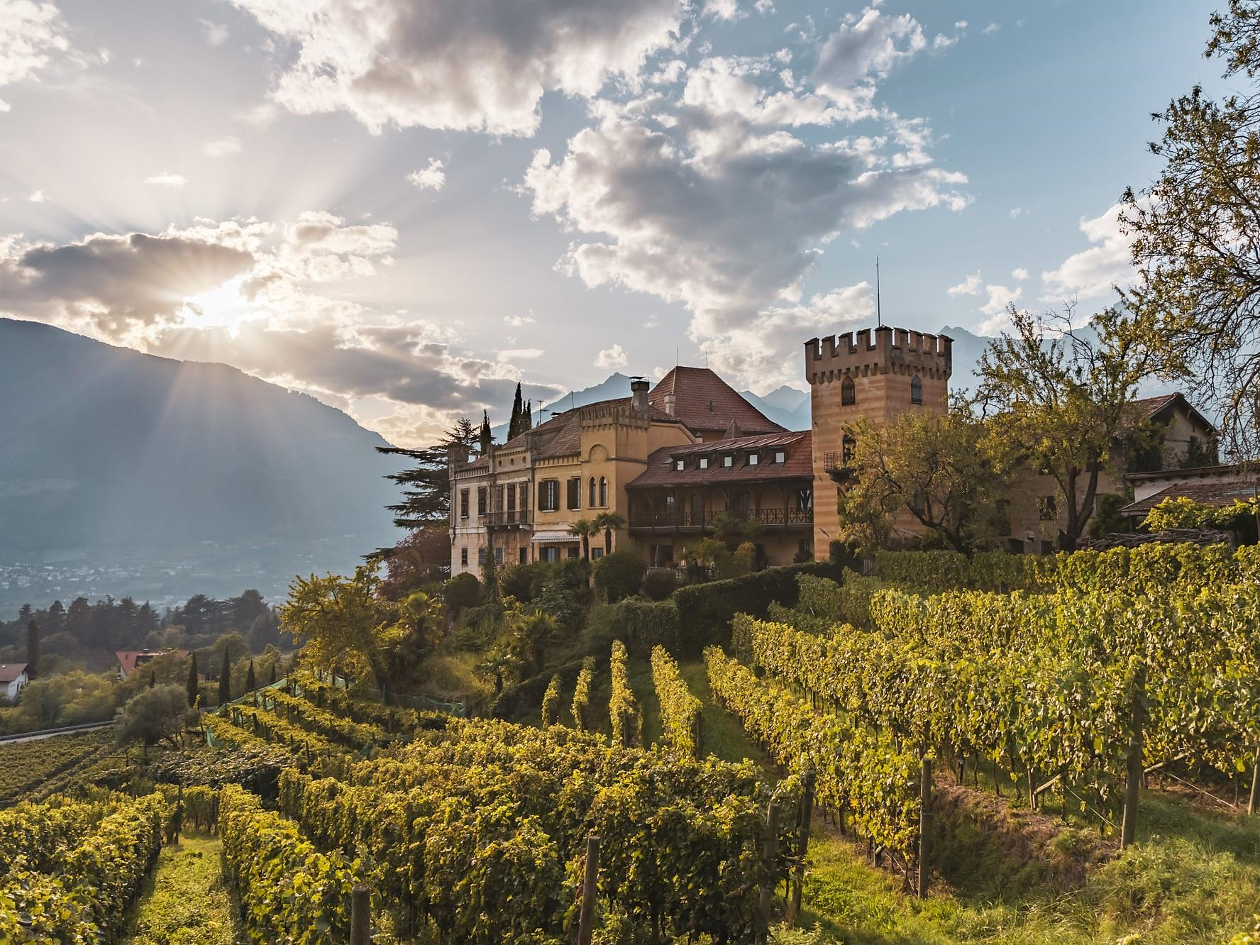 Un pomeriggio all’insegna del vino - Merano e dintorni - #1 - suedtirol.info