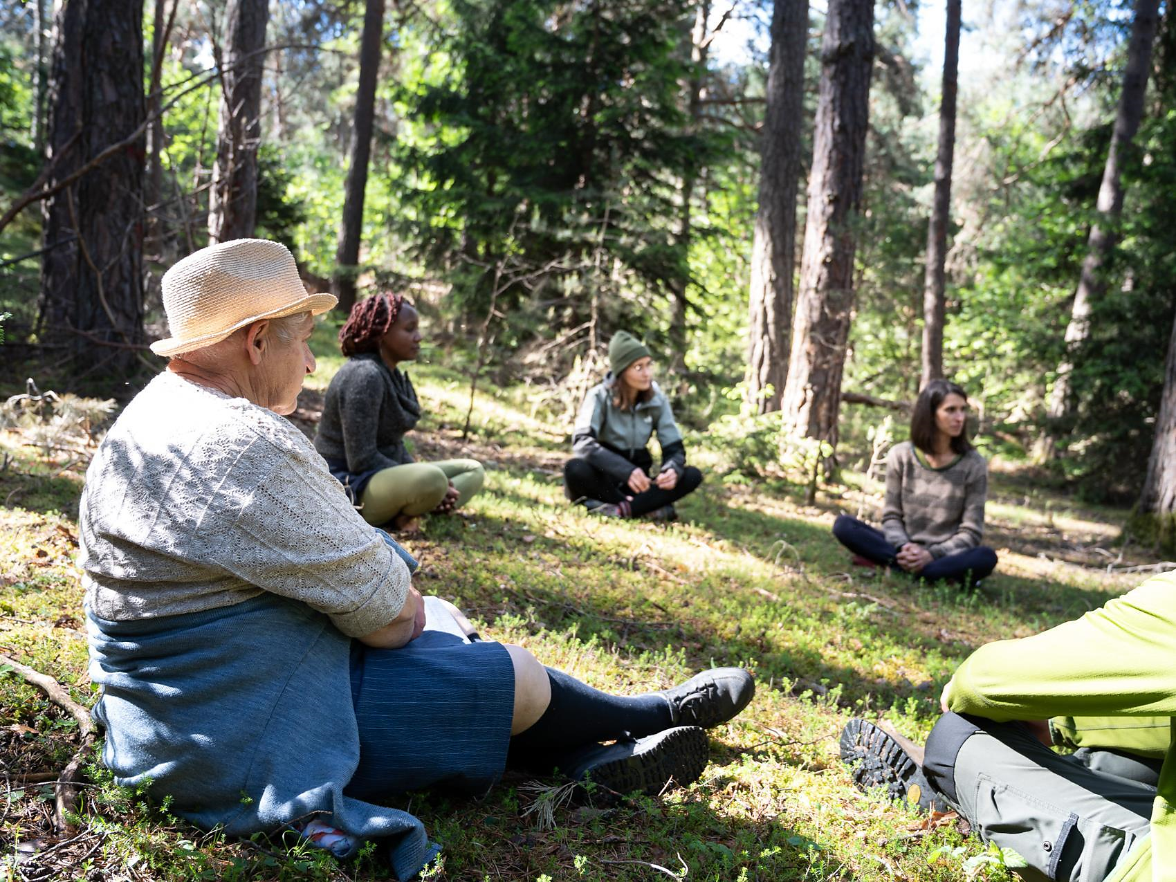 Forest bathing and the power tree chestnut (Keschtnriggl) - Meran/Merano and environs - #2 - suedtirol.info