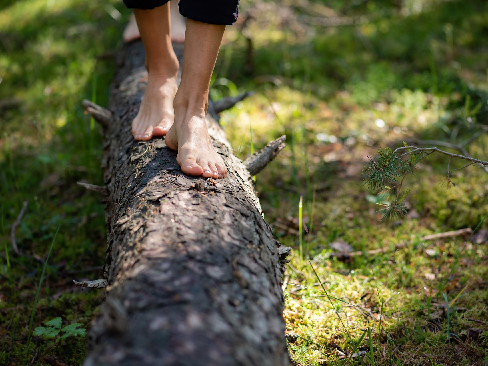 Forest bathing and the power tree chestnut (Keschtnriggl) - Meran/Merano and environs - #3 - suedtirol.info