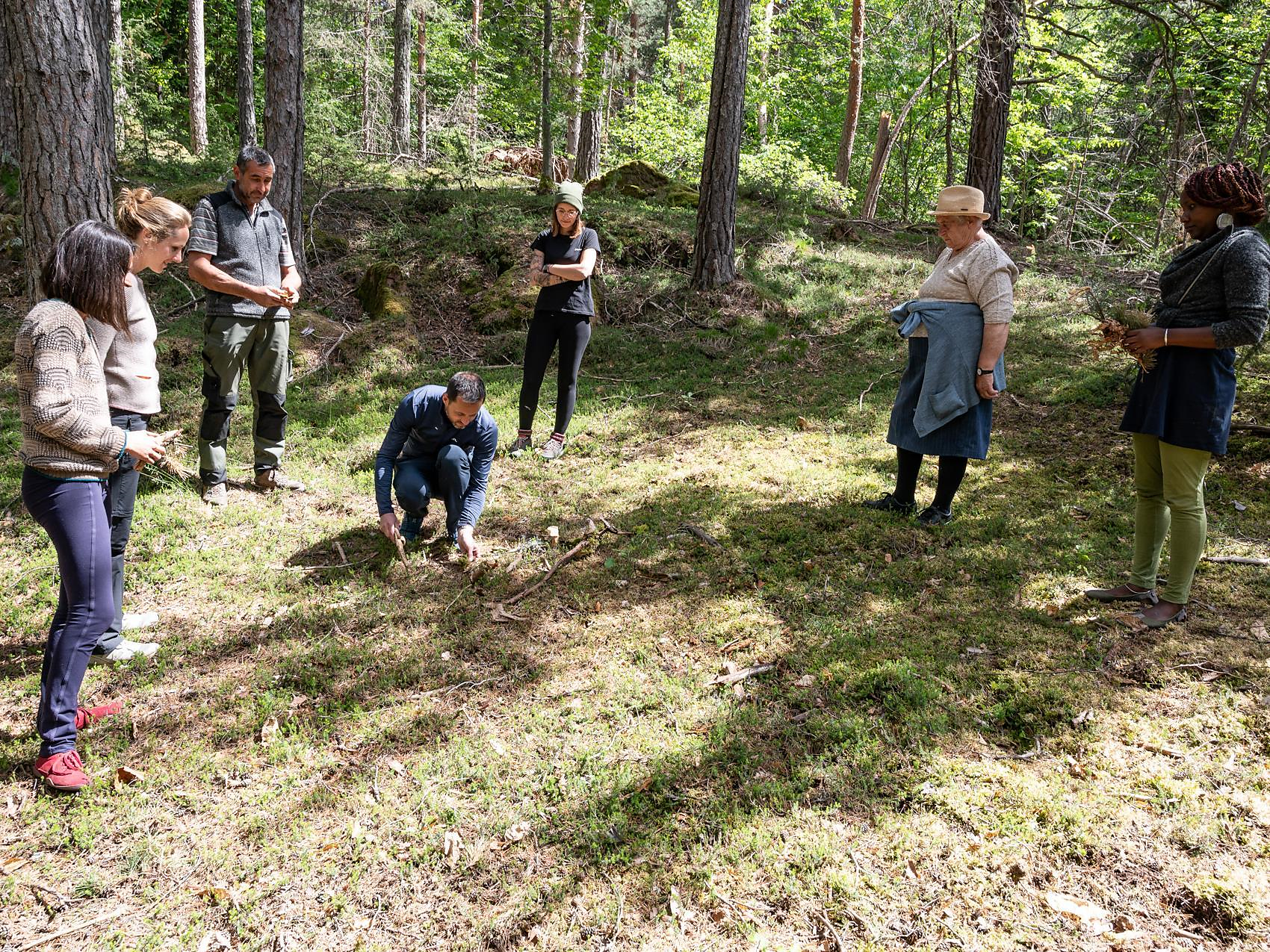 Forest bathing and the power tree chestnut (Keschtnriggl) - Meran/Merano and environs - #1 - suedtirol.info