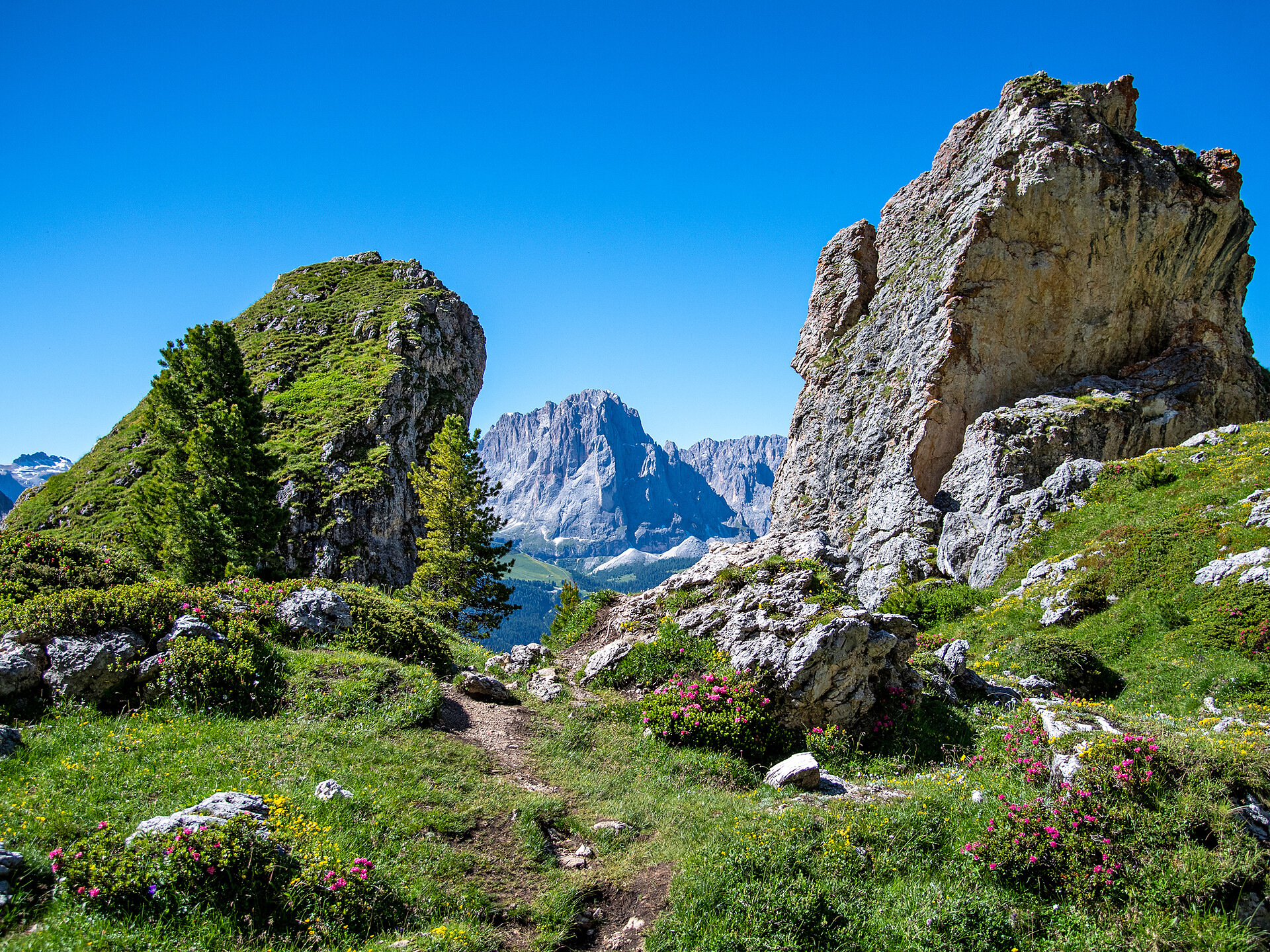 Hike along the Forcella Mesdì in the Puez-Odle Nature Park Urtijëi/Ortisei 1 suedtirol.info