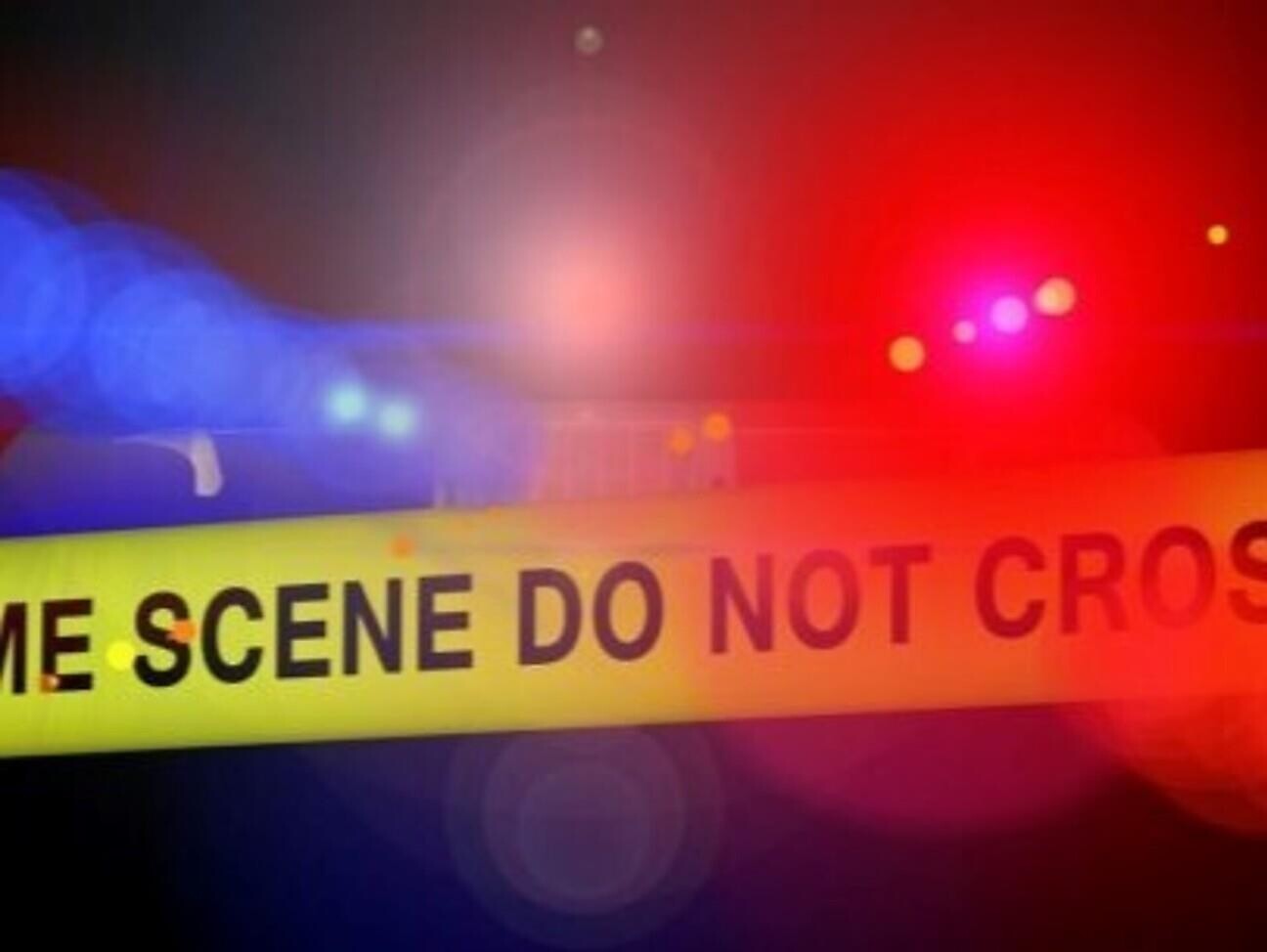 Settimana invernale al museo - Bolzano e dintorni - #2 - suedtirol.info