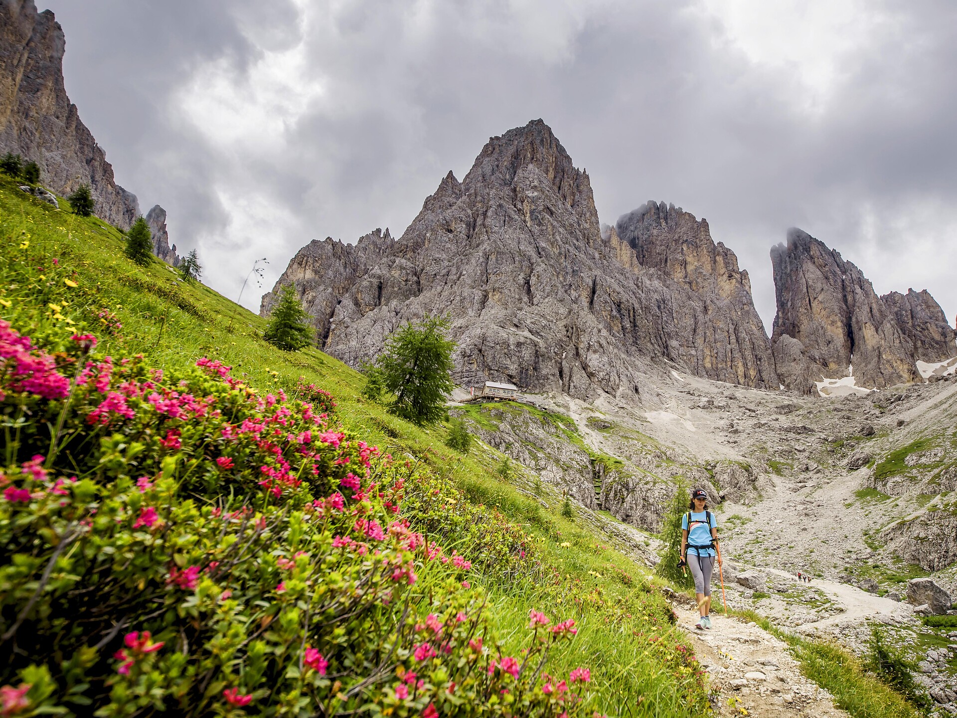Hike from Monte Pana to the Vincenza hut with the Guides Catores S.Crestina Gherdëina/Santa Cristina Val Gardana 2 suedtirol.info