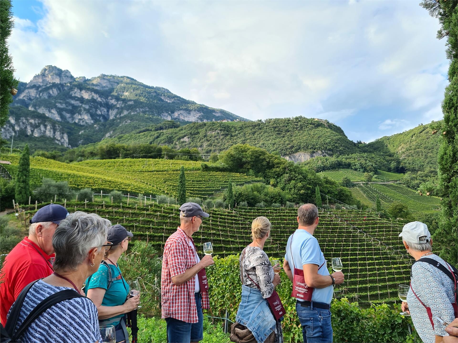 ViviAmo il vino e l'olio d'oliva - Escursione nel vigneto di Cortaccia - Strada del Vino - #1 - suedtirol.info