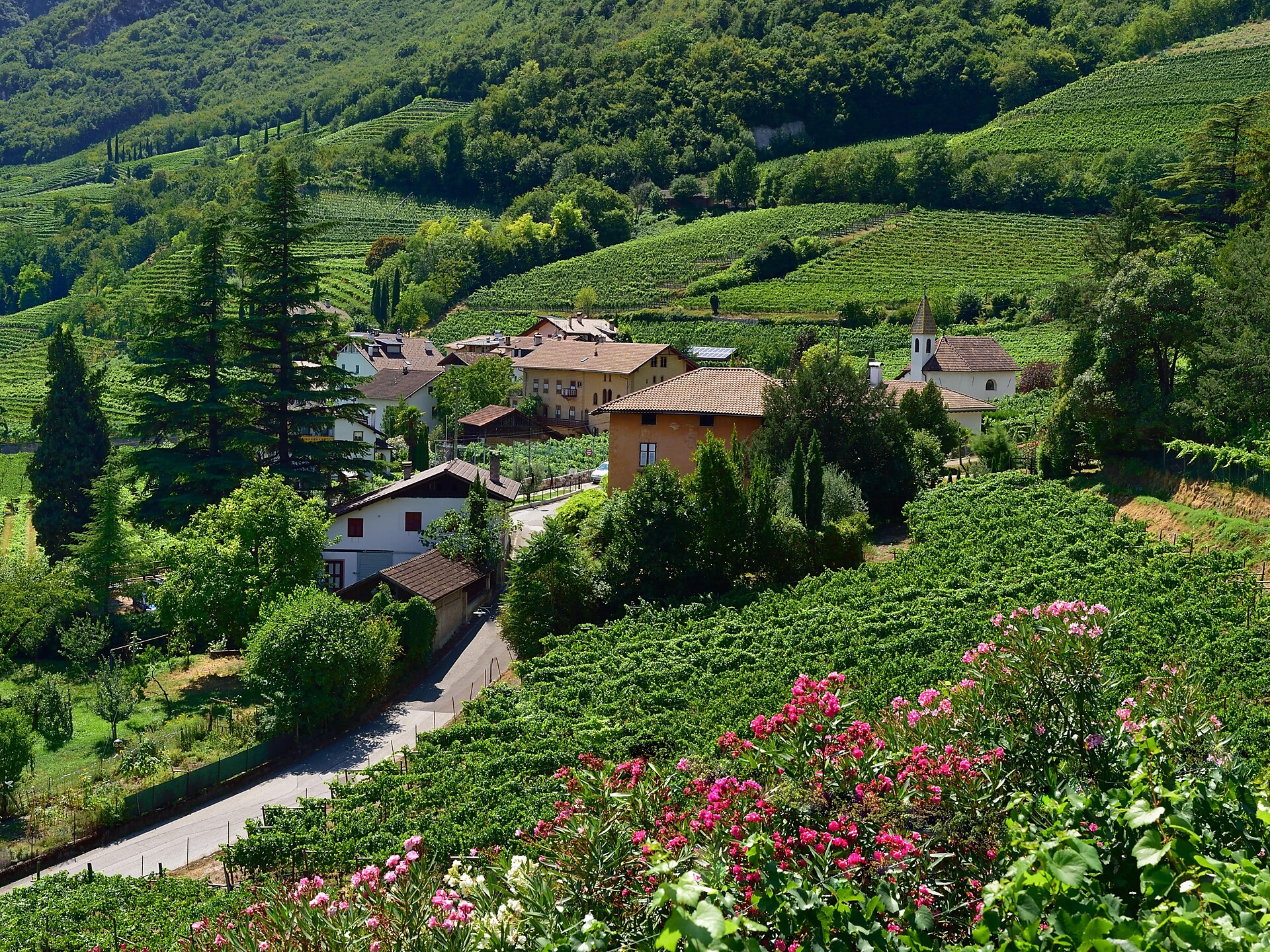 Weinwanderung über den Weinlehrpfad - Entiklar bis ins schöne Weindorf Margreid - Südtiroler Weinstraße - #3 - suedtirol.info