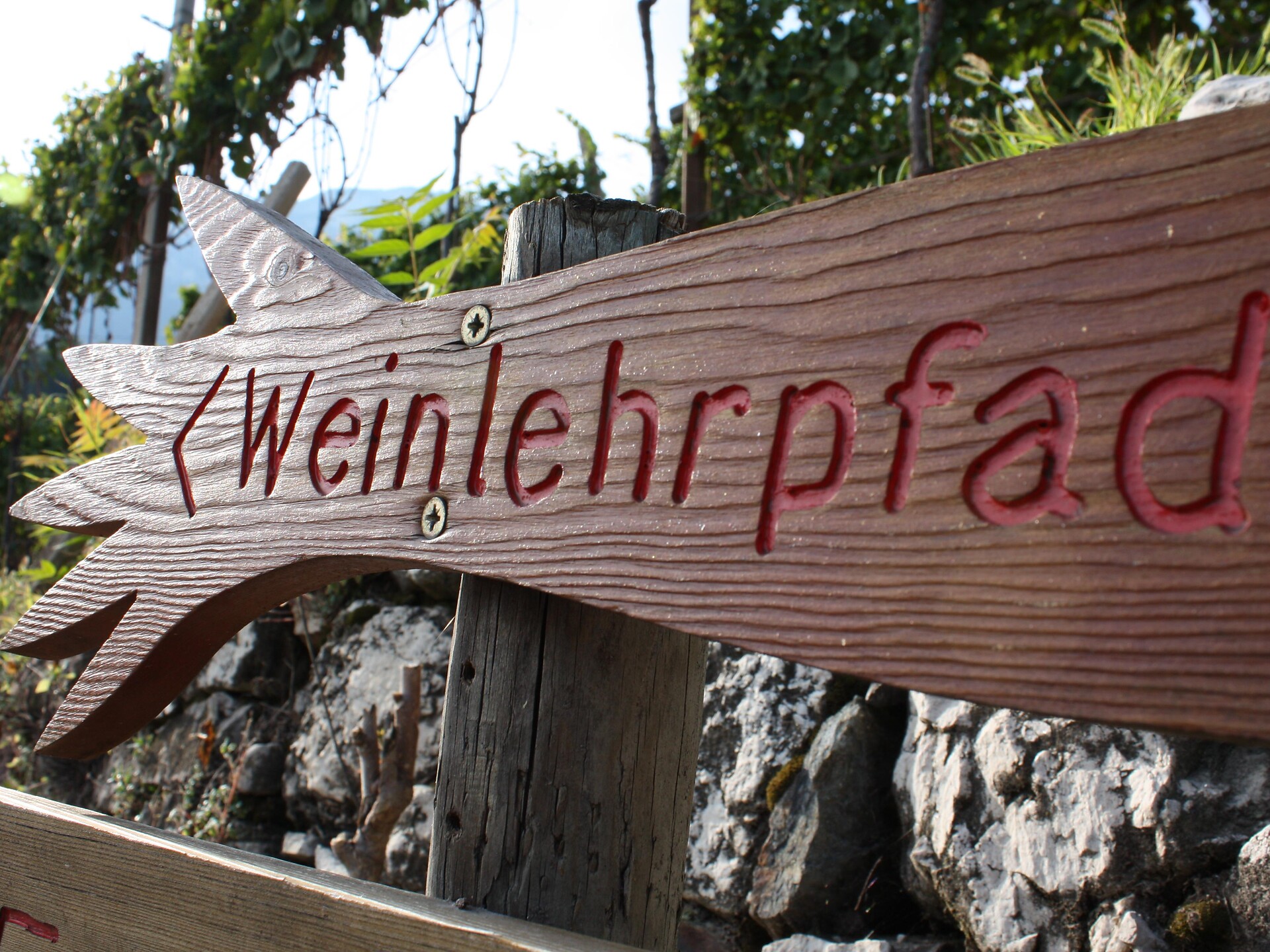 Weinwanderung über den Weinlehrpfad - Entiklar bis ins schöne Weindorf Margreid - Südtiroler Weinstraße - #2 - suedtirol.info