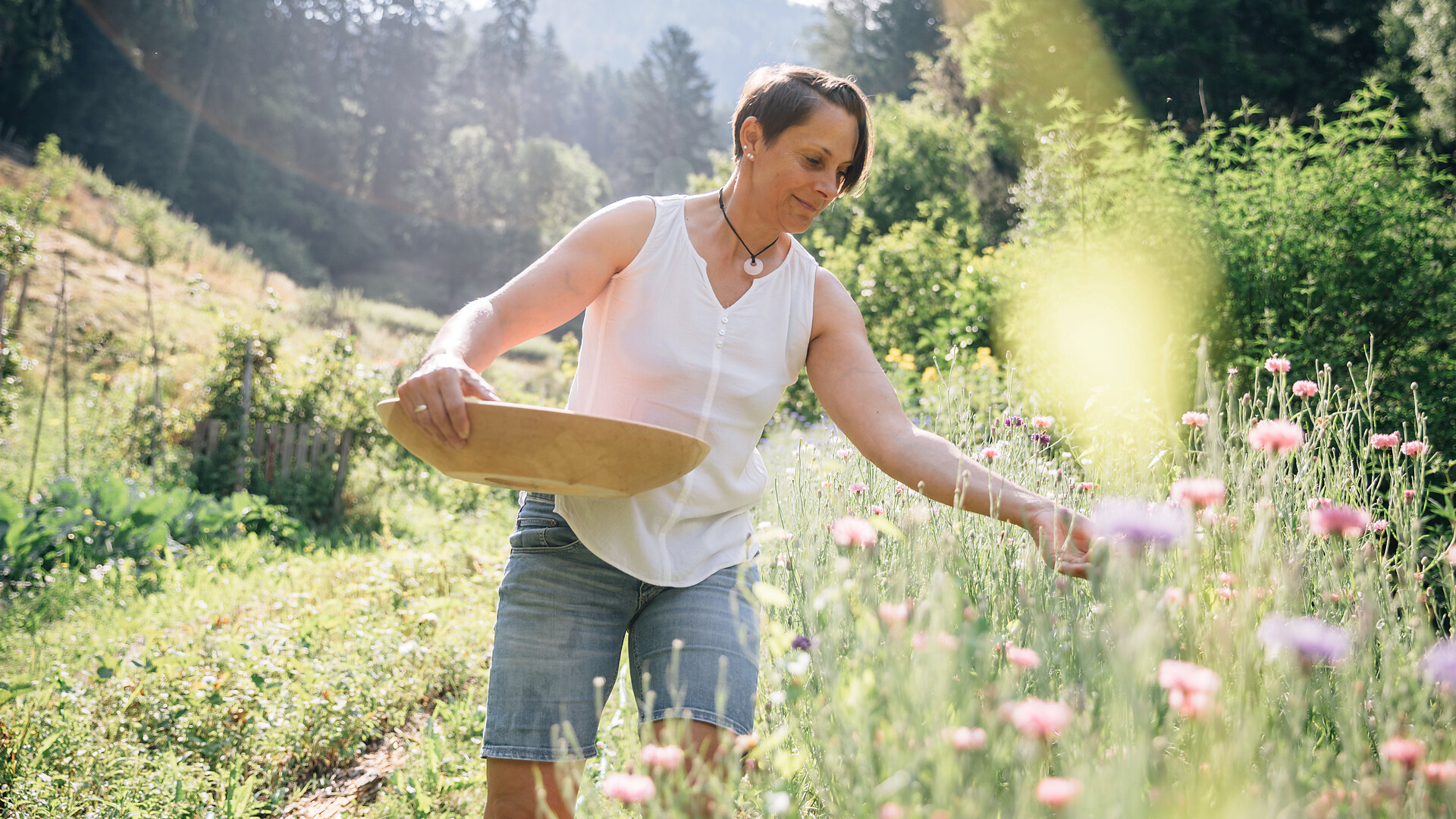 Selvatici, ma sani! - Merano e dintorni - #1 - suedtirol.info