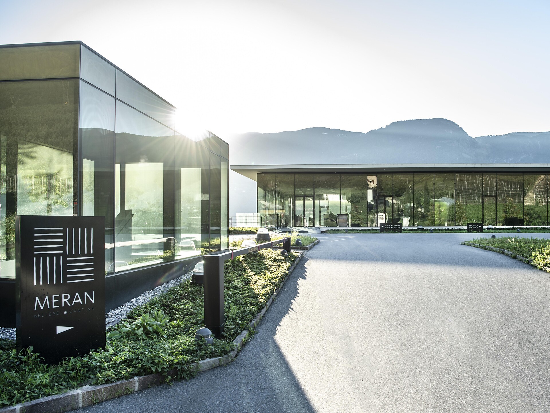 Wine & Design-Gain insight into the viticulture in the Cantina Merano Winery Marling/Marlengo 1 suedtirol.info