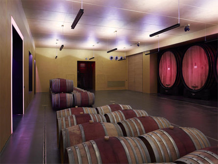 Wine & Design-Visita guidata e degustazione presso la Cantina Merano Marlengo 3 suedtirol.info