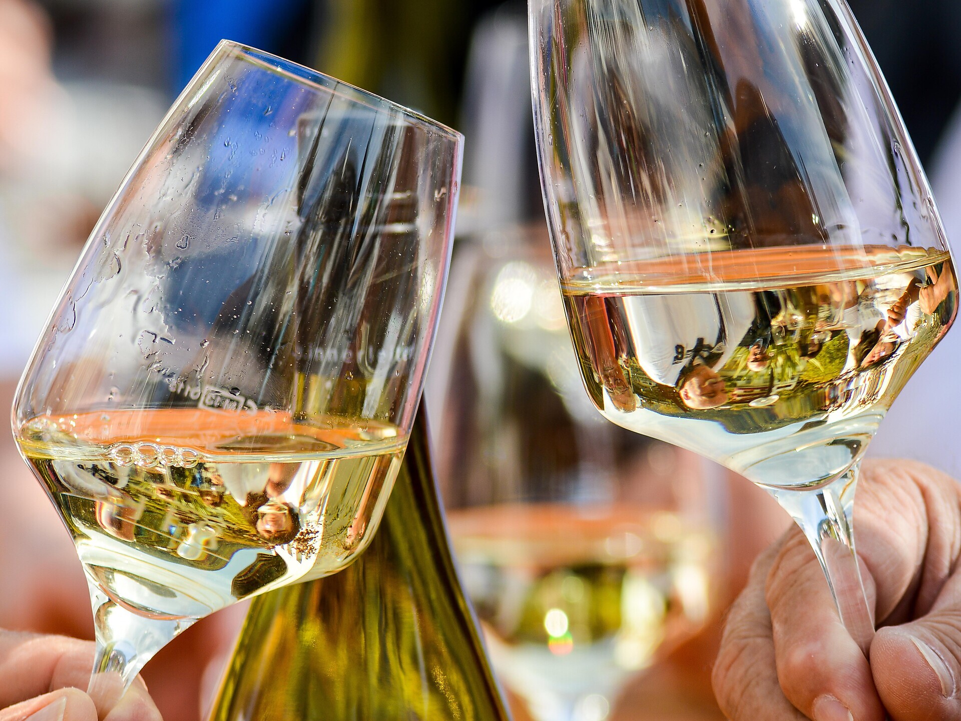 Guided tour Innerleiterhof - Meran/Merano and environs - #3 - suedtirol.info