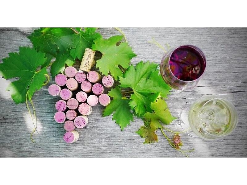 L’esperienza del vino alla tenuta biologica Rielinger Renon 1 suedtirol.info