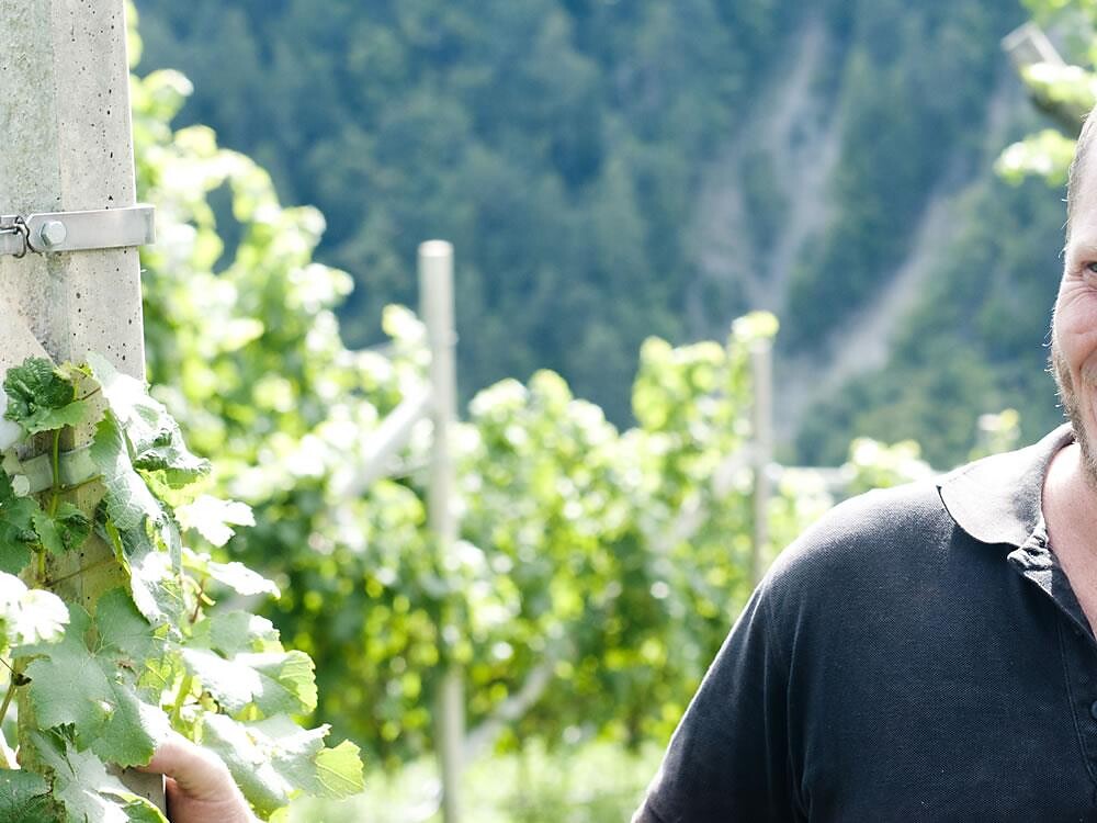 L’esperienza del vino alla tenuta biologica Rielinger Renon 2 suedtirol.info