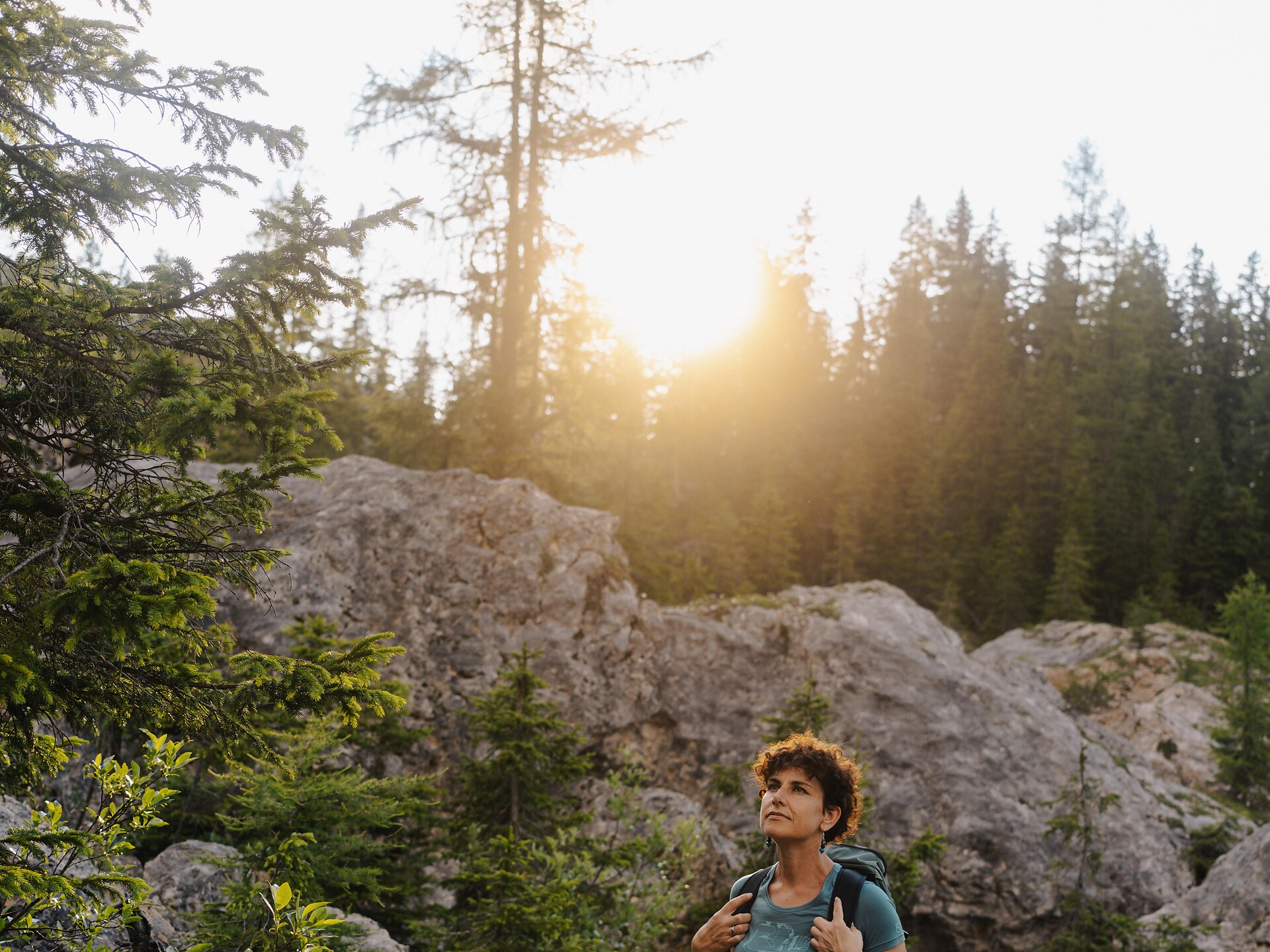 Forest hike to places of power & natural monuments - Dolomites Region Eggental - #3 - suedtirol.info