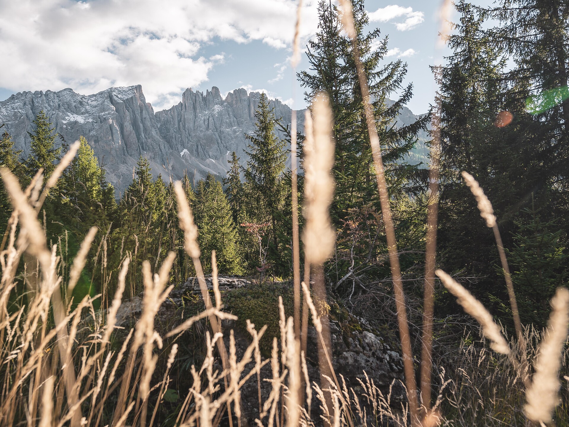 Forest hike to places of power & natural monuments - Dolomites Region Eggental - #2 - suedtirol.info
