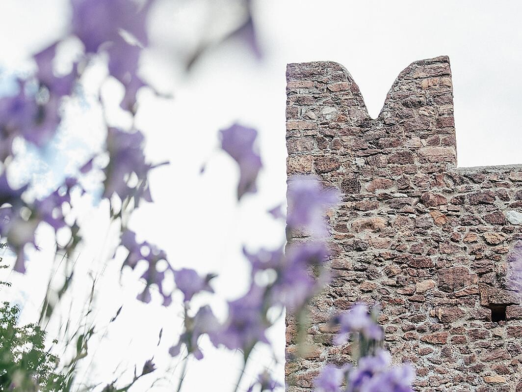 Workshop Töpfern- Gartenliebe Andrian & Terlan 2026 - Südtiroler Weinstraße - #1 - suedtirol.info