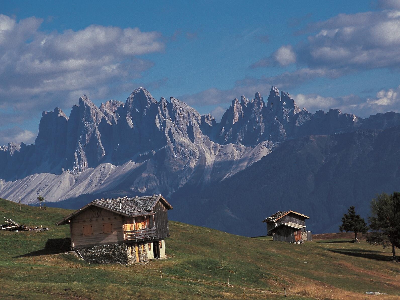Wander- und Knödelerlebnis auf der Feldthurner Alm - Brixen und Umgebung - #2 - suedtirol.info